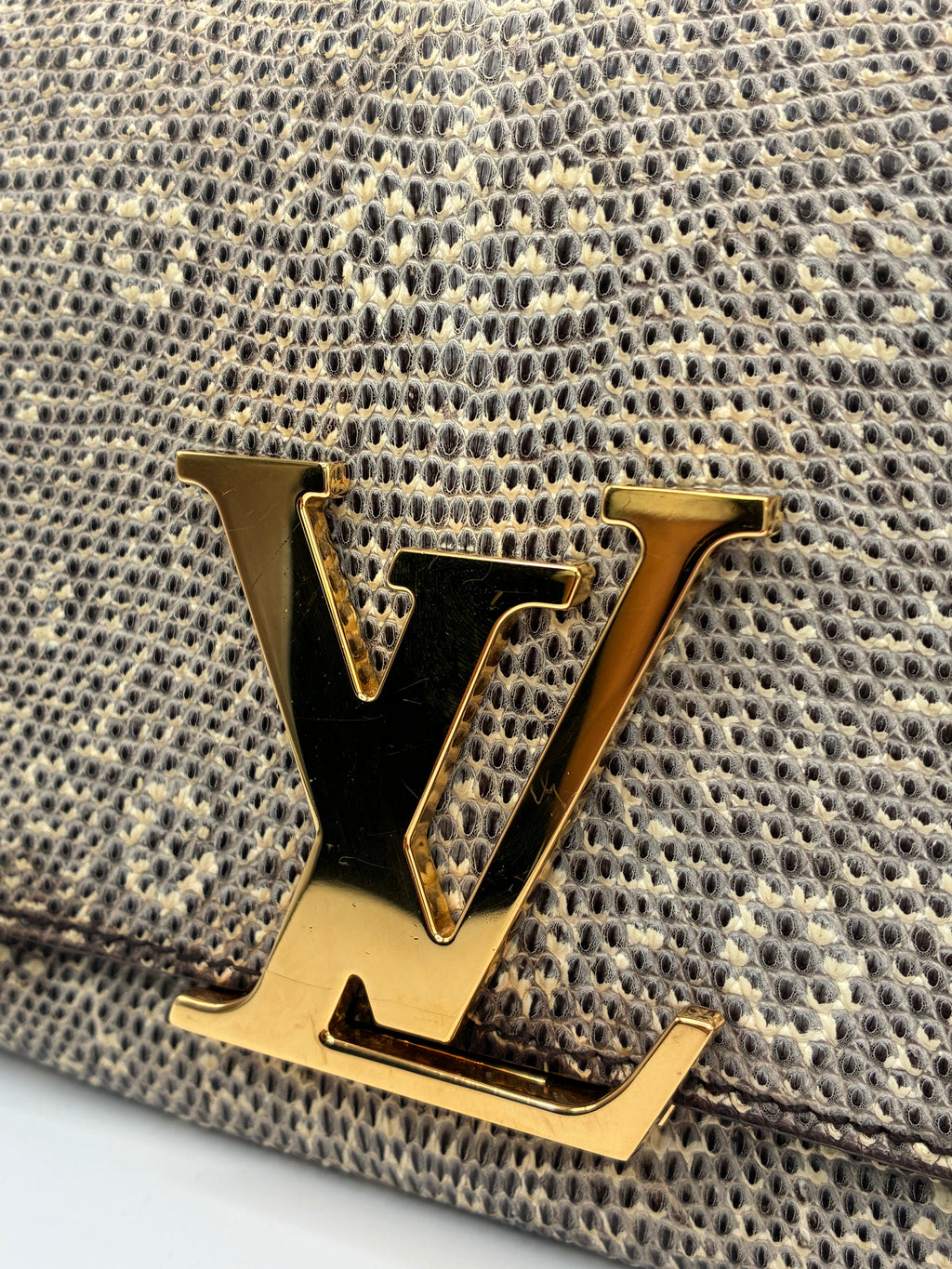 Louis Vuitton Lizard Clutch