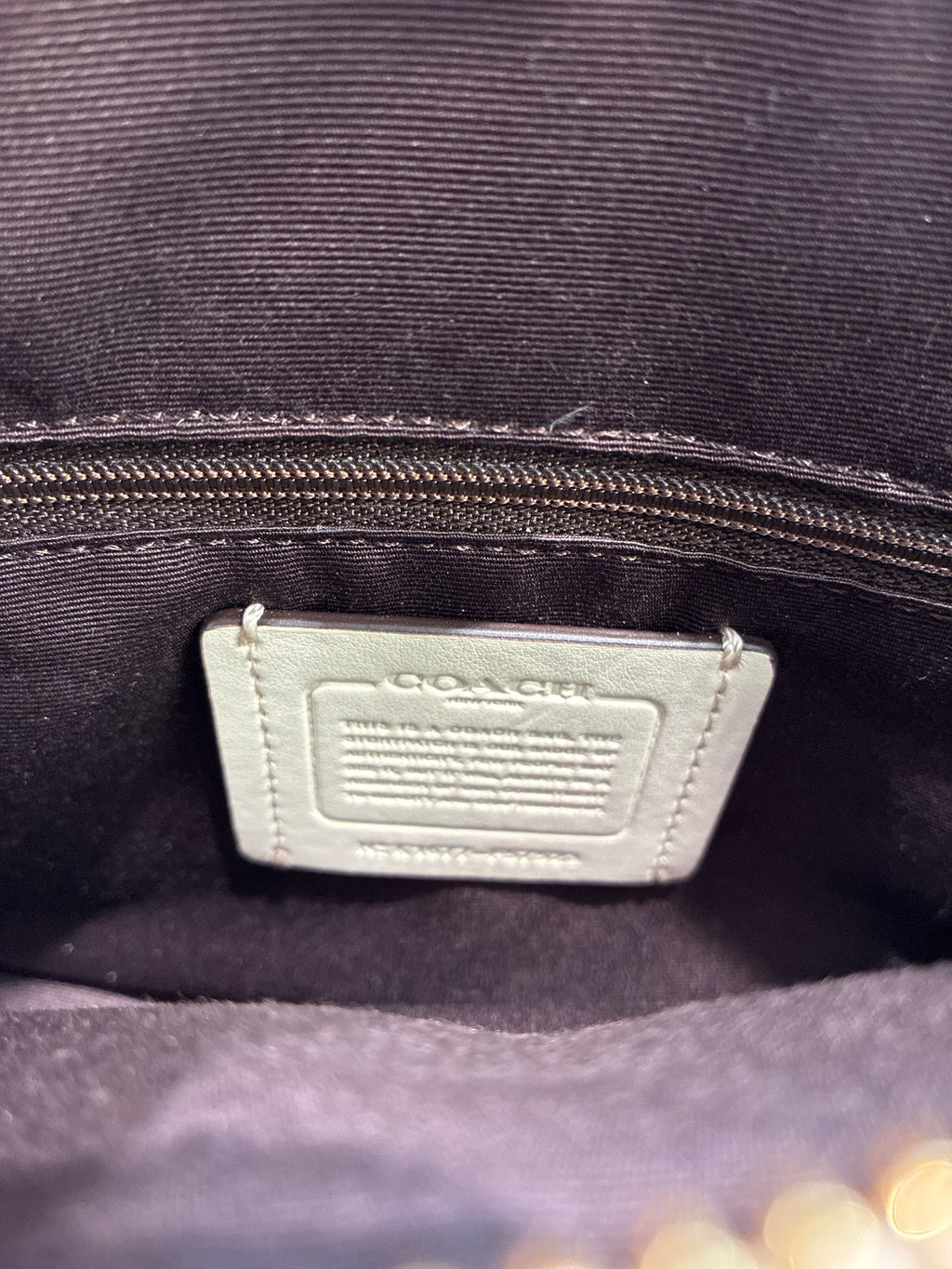 Coach Christie Carryall