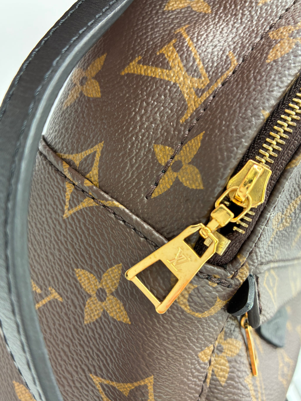 Louis Vuitton Palm Springs Mini Backpack