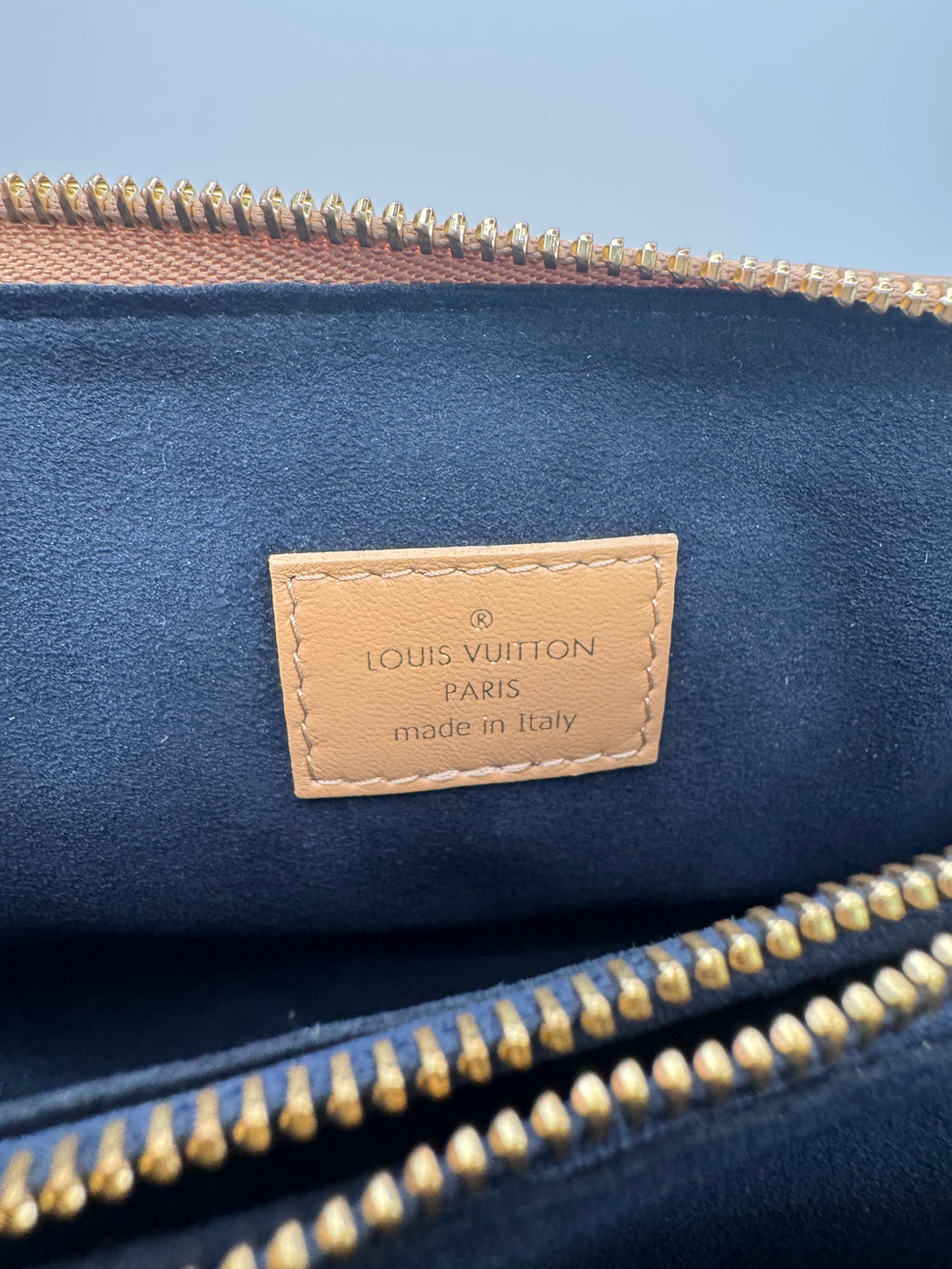 Louis Vuitton Coussin PM Camel