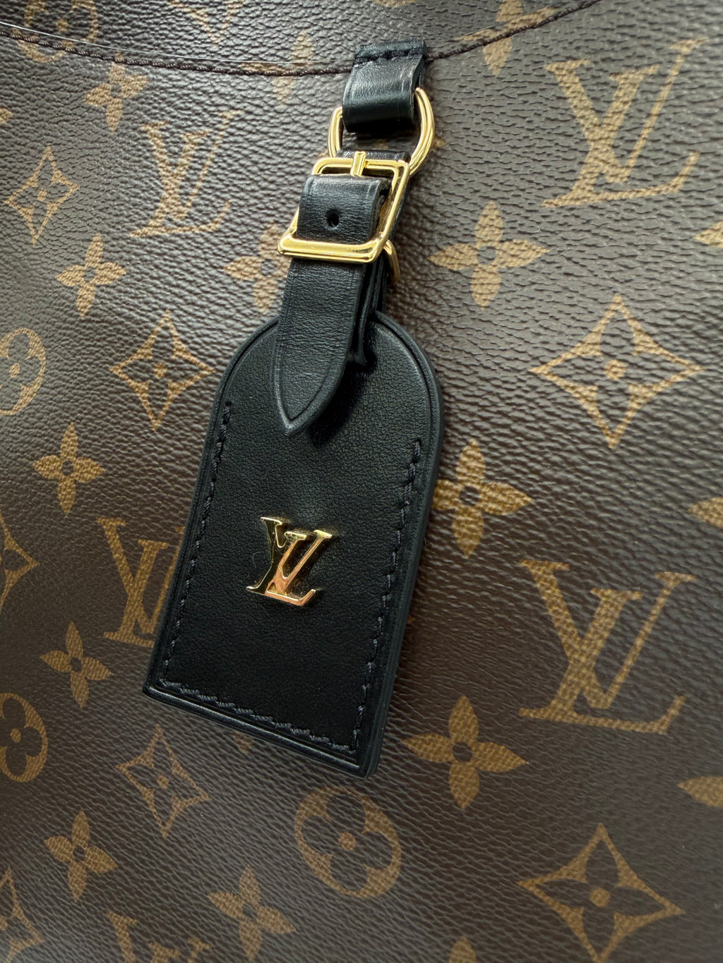Louis Vuitton Odeon MM