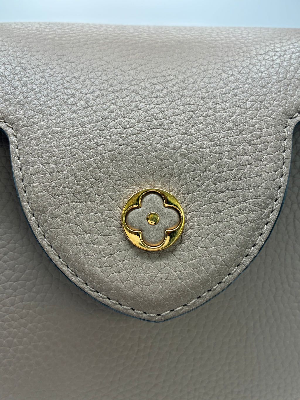 LV Cappucine MM