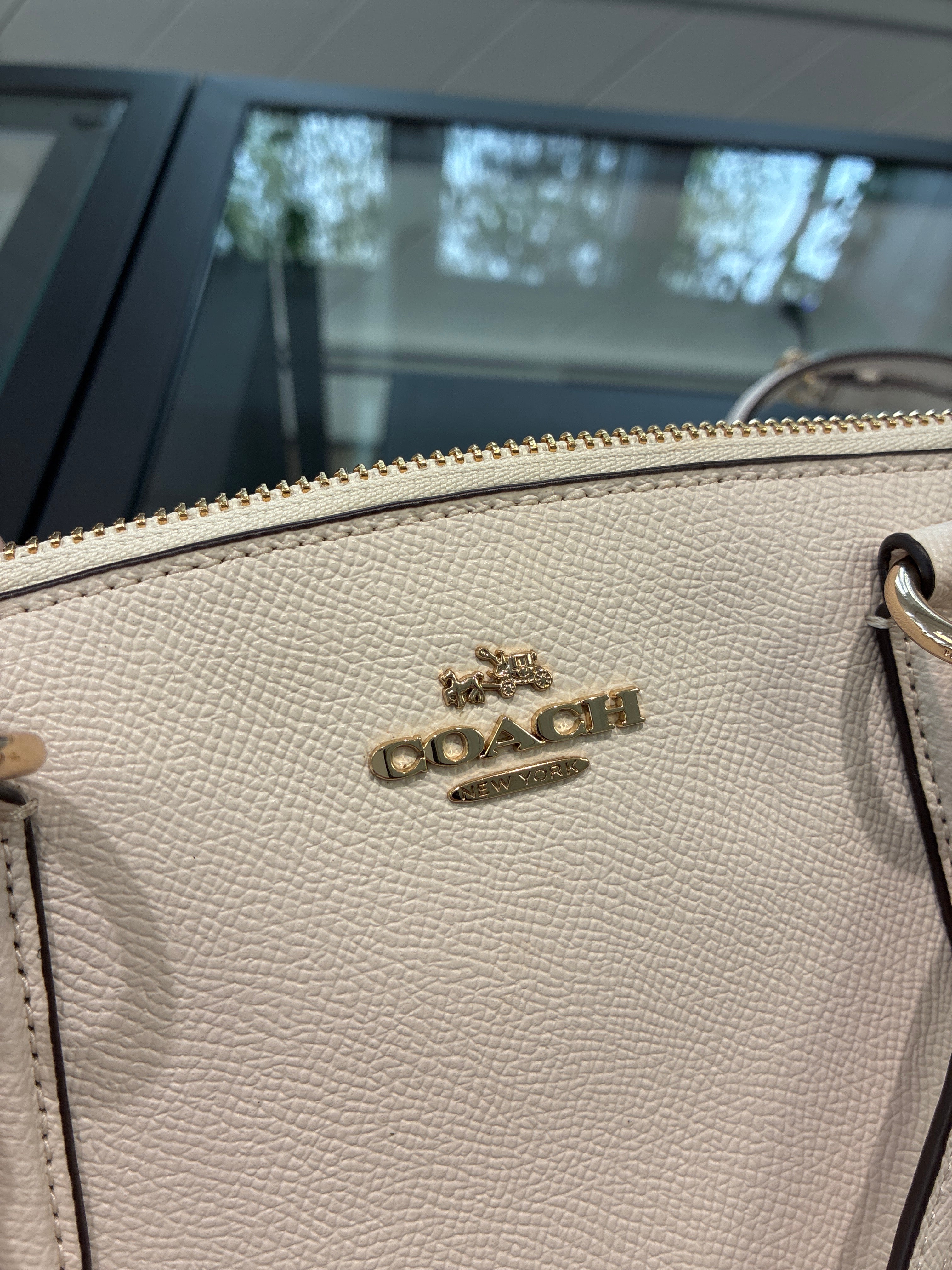 Coach Christie Carryall