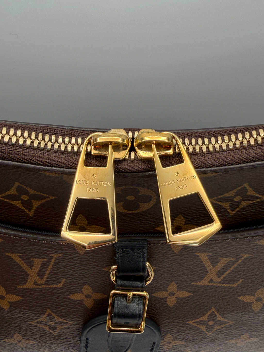 Louis Vuitton Odeon MM
