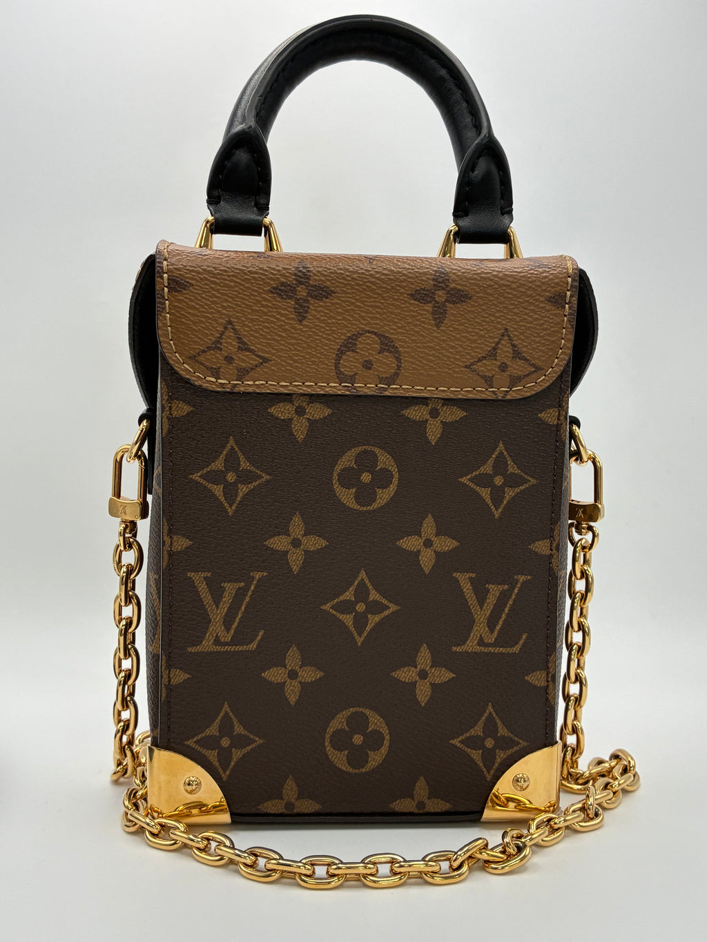 Louis Vuitton Camera Box bag