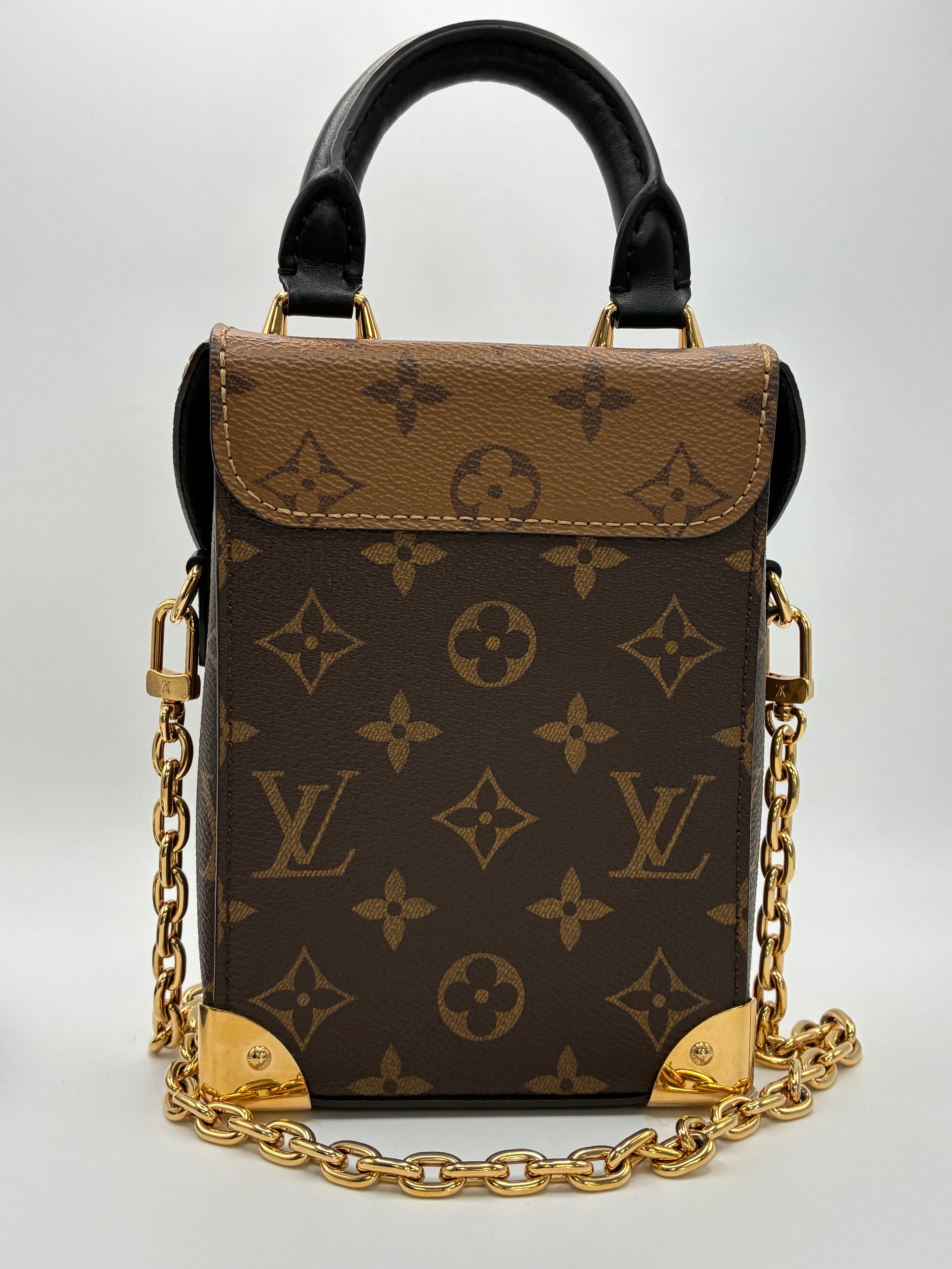 Louis Vuitton Camera Box bag