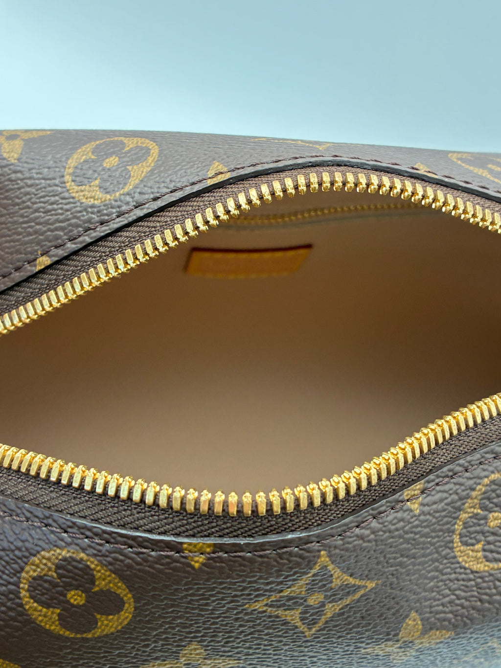 Louis Vuitton Cosmetic Case GM