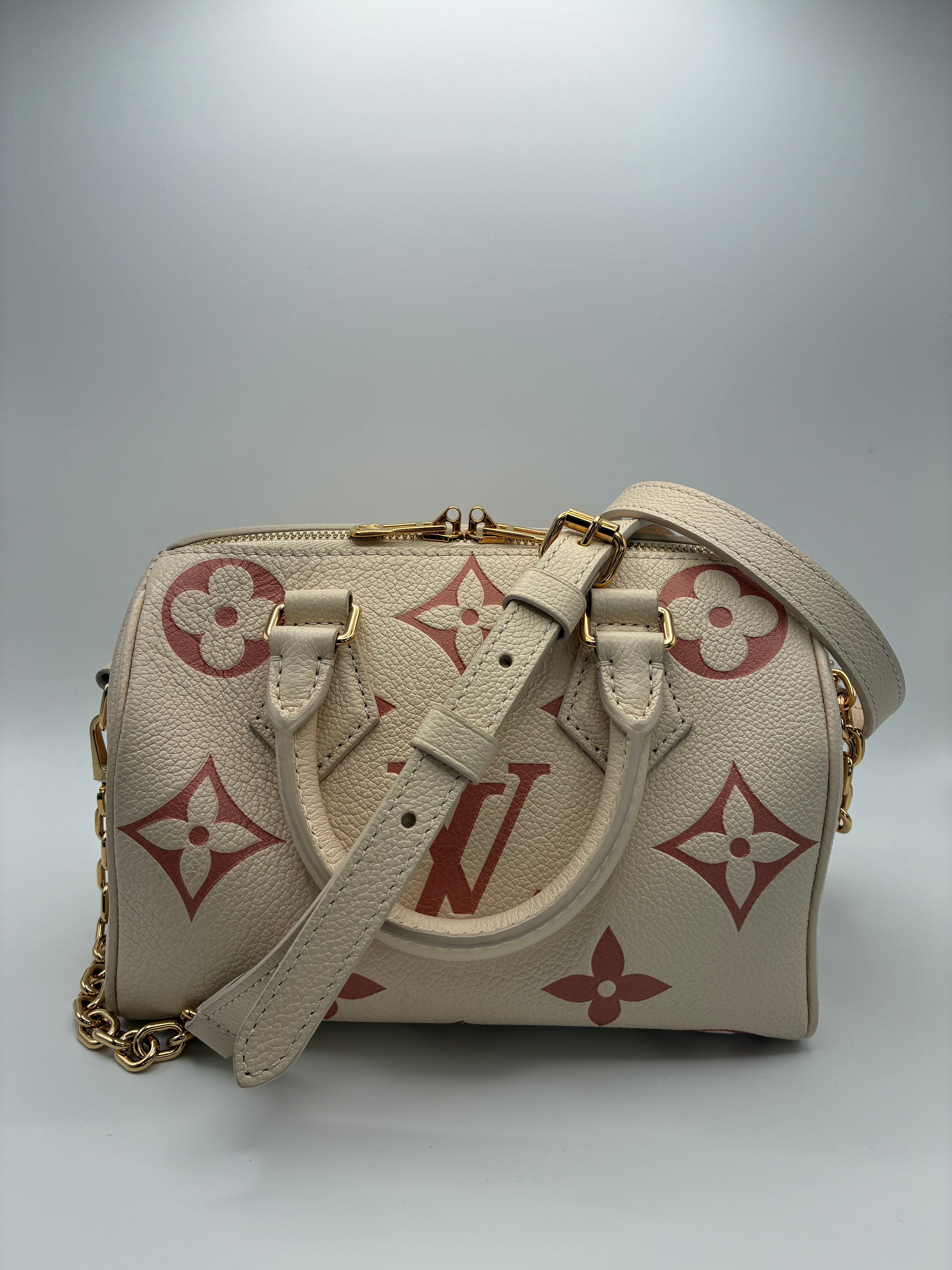 Louis Vuitton Limited Edition Speedy 20 Bandoulier Bicolour