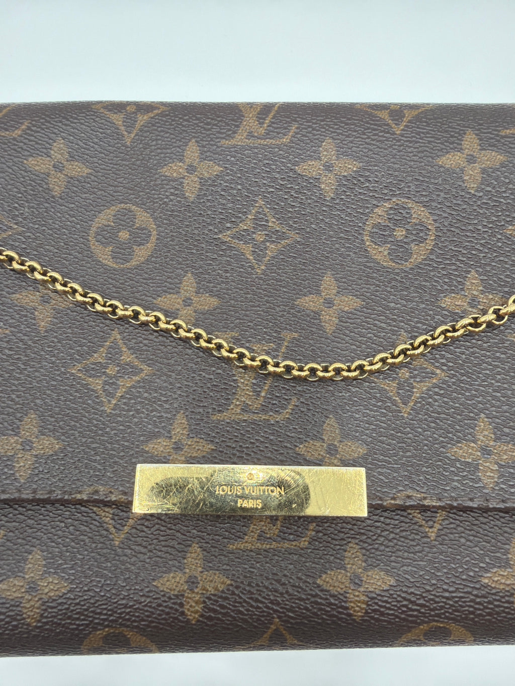 Louis Vuitton Favorite MM Monogram