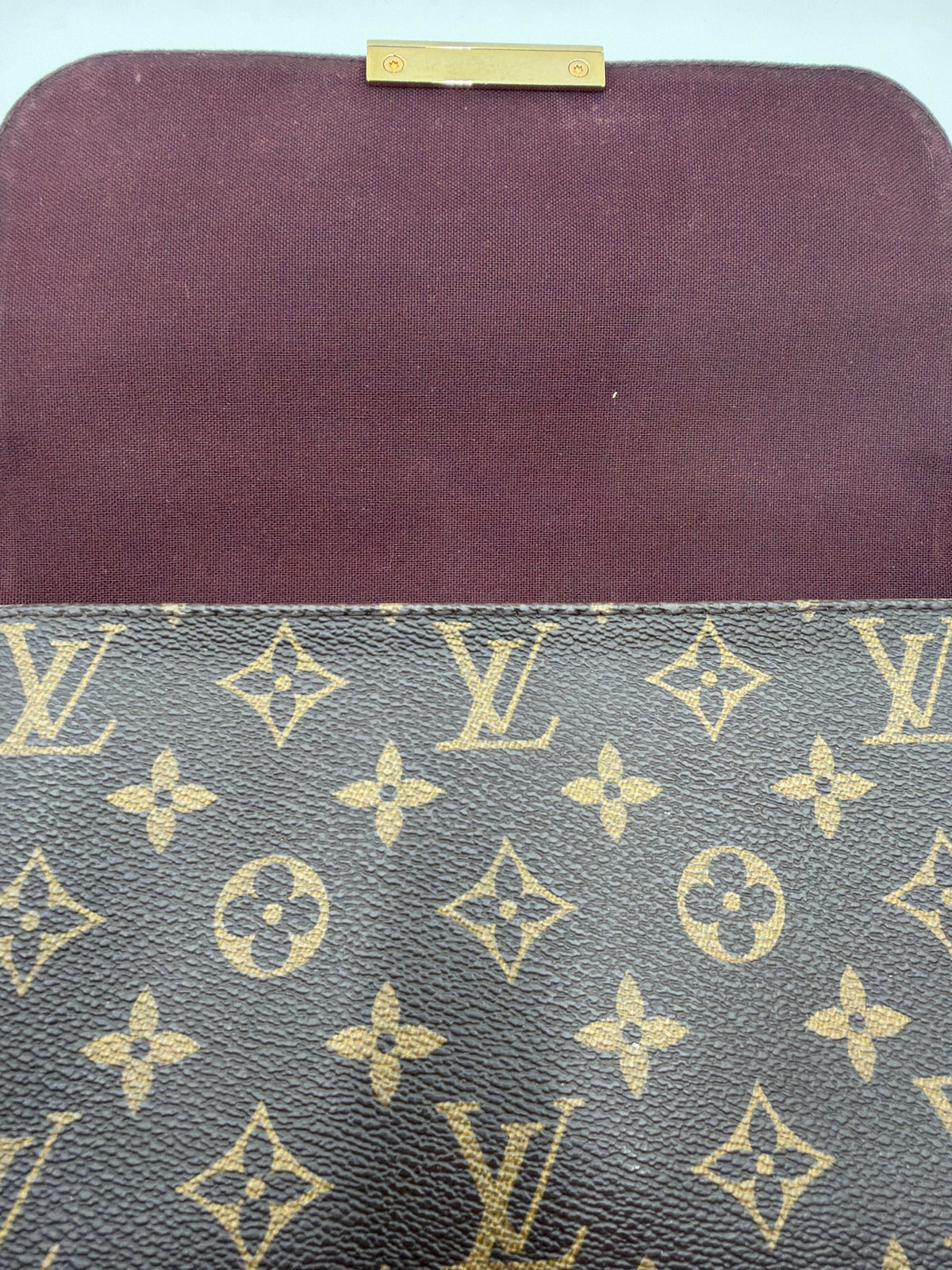 Louis Vuitton Favorite MM Monogram