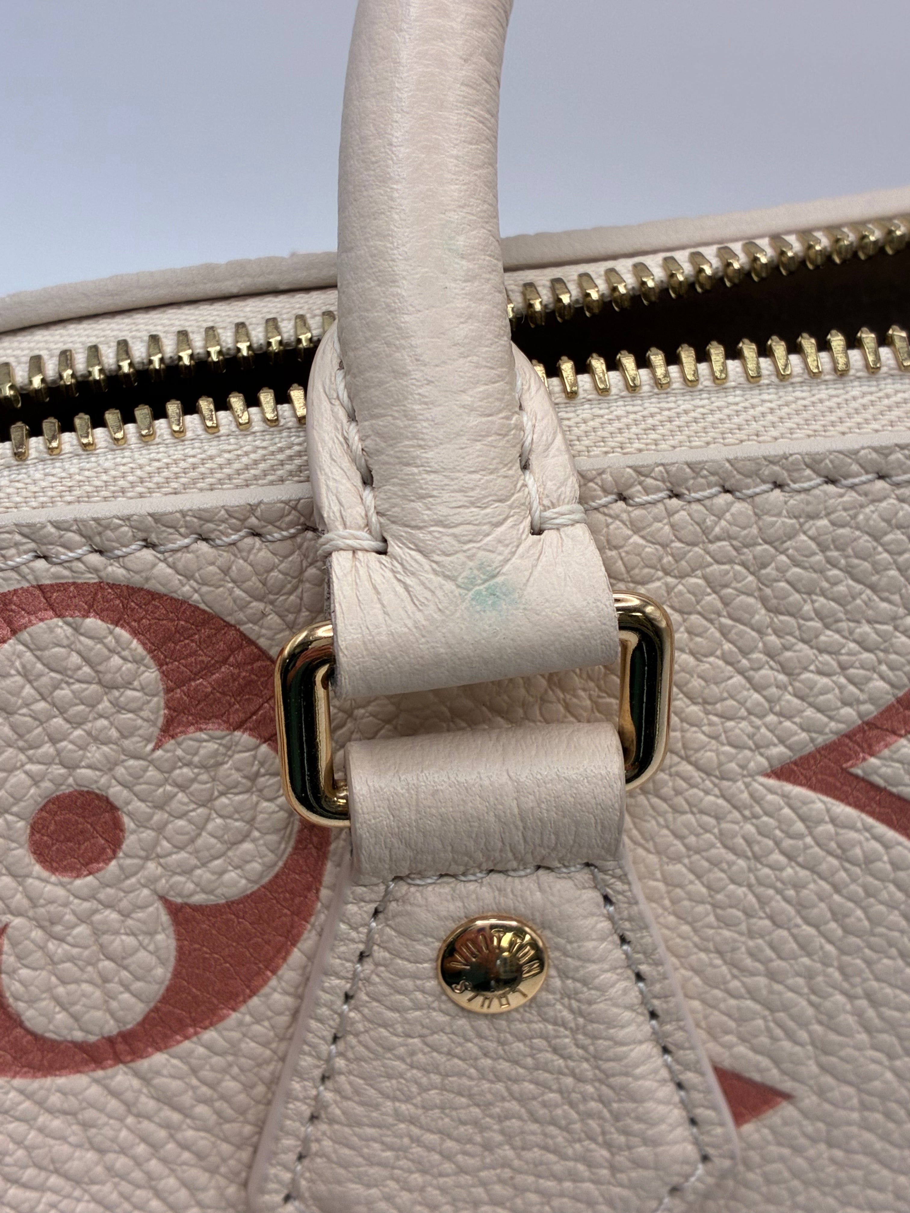 Louis Vuitton Limited Edition Speedy 20 Bandoulier Bicolour