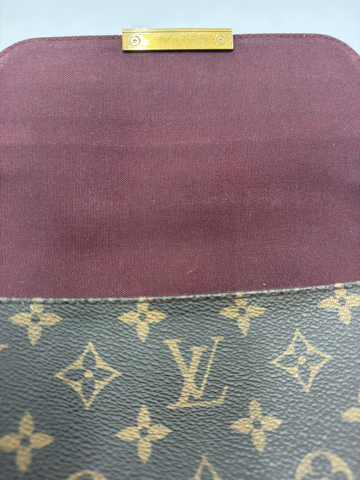 Louis Vuitton Favorite PM Monogram