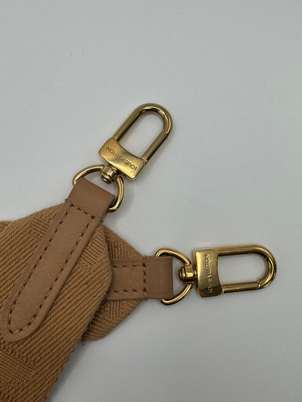 Louis Vuitton Coussin PM Camel