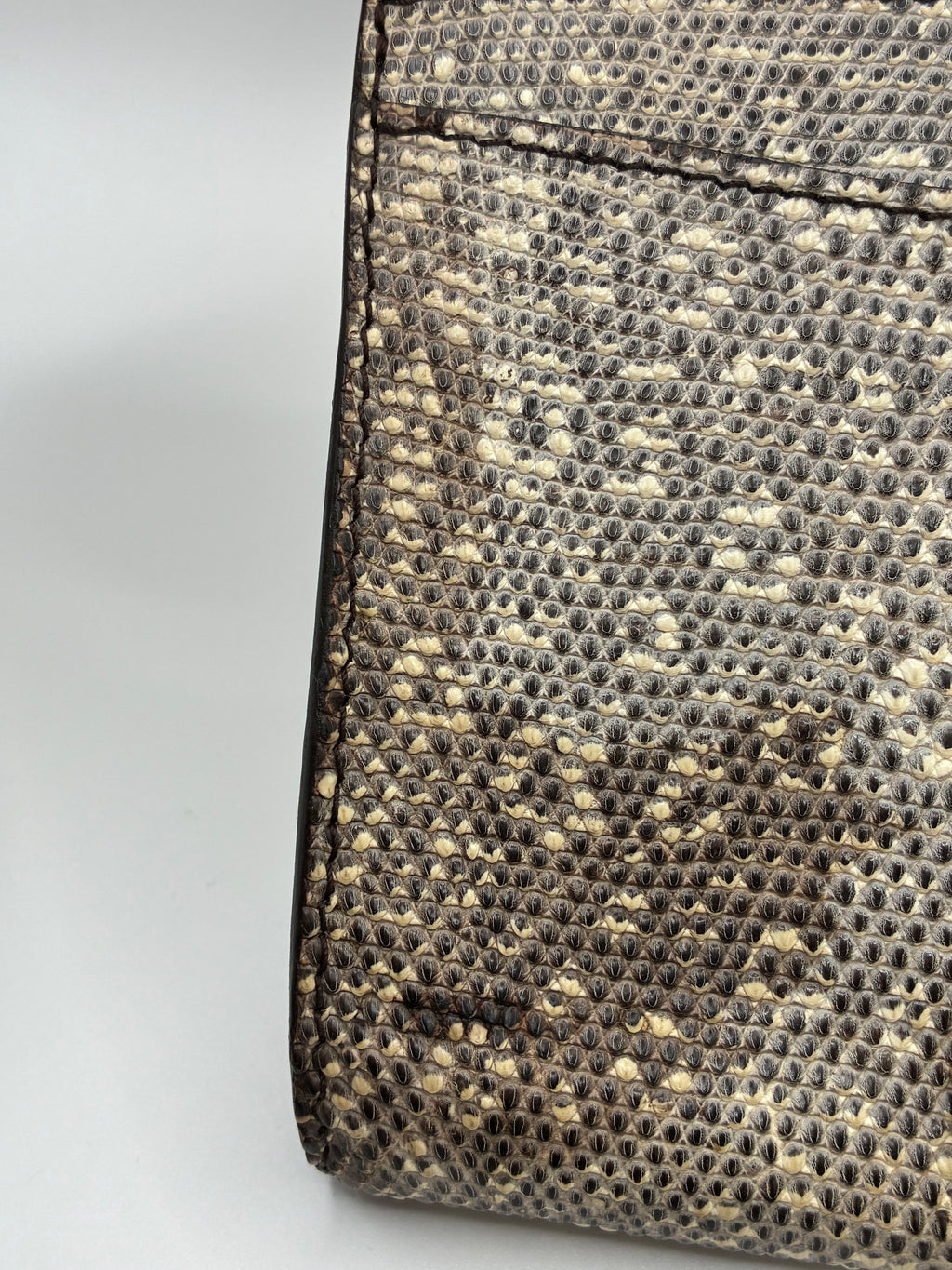 Louis Vuitton Lizard Clutch