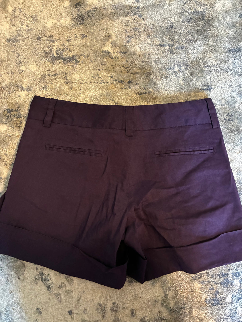 Theory Purple Shorts