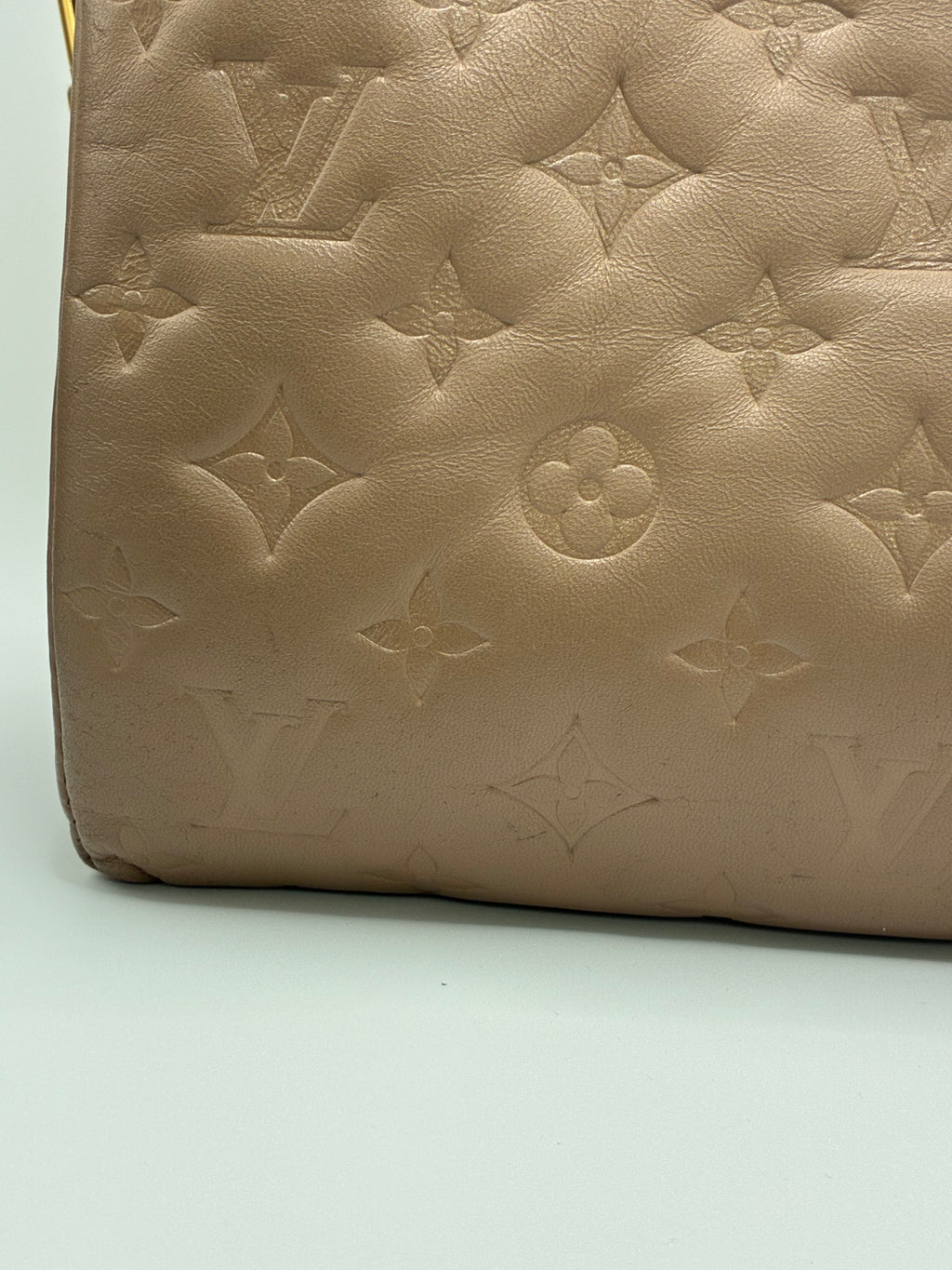 Louis Vuitton Coussin MM