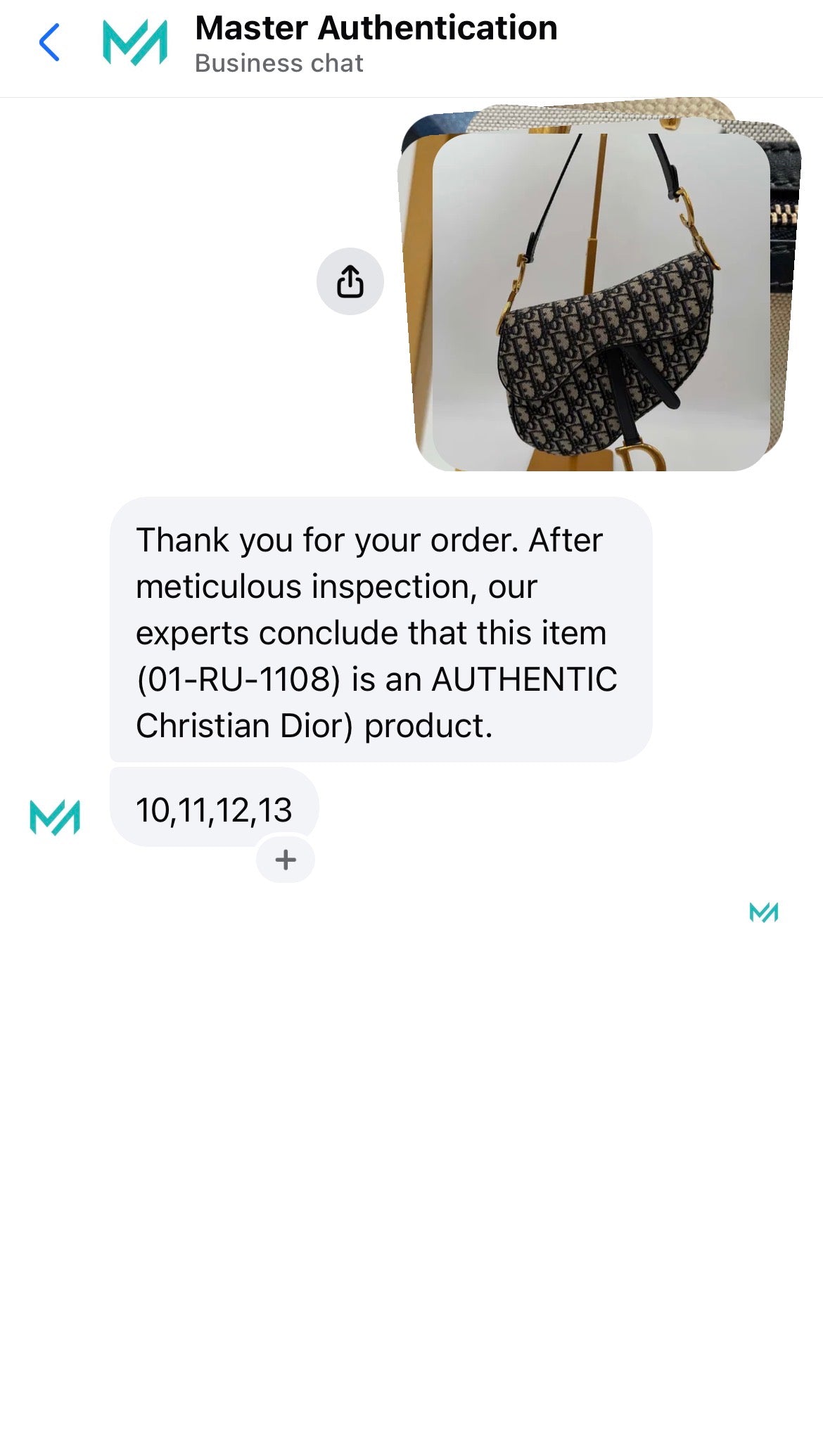 Christian Dior Oblique Saddle Bag