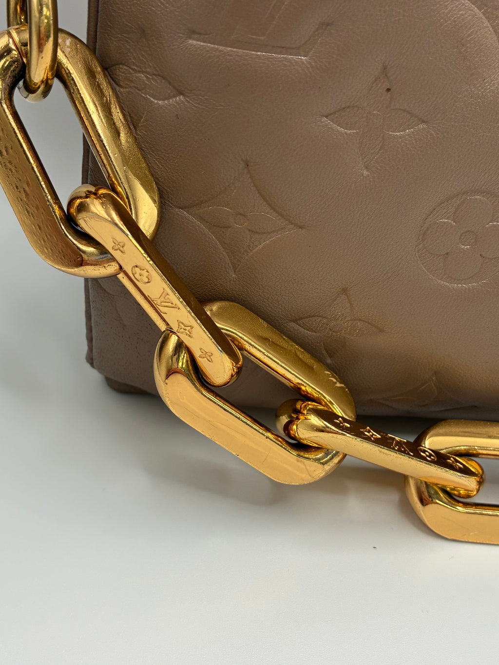 Louis Vuitton Coussin MM