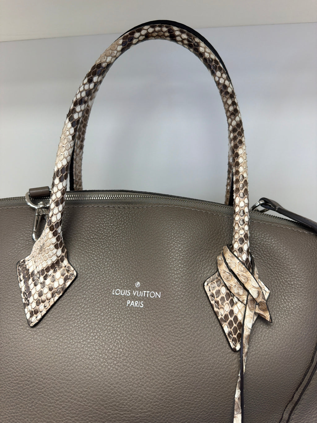 Louis Vuitton Soft Lockit Python Handles