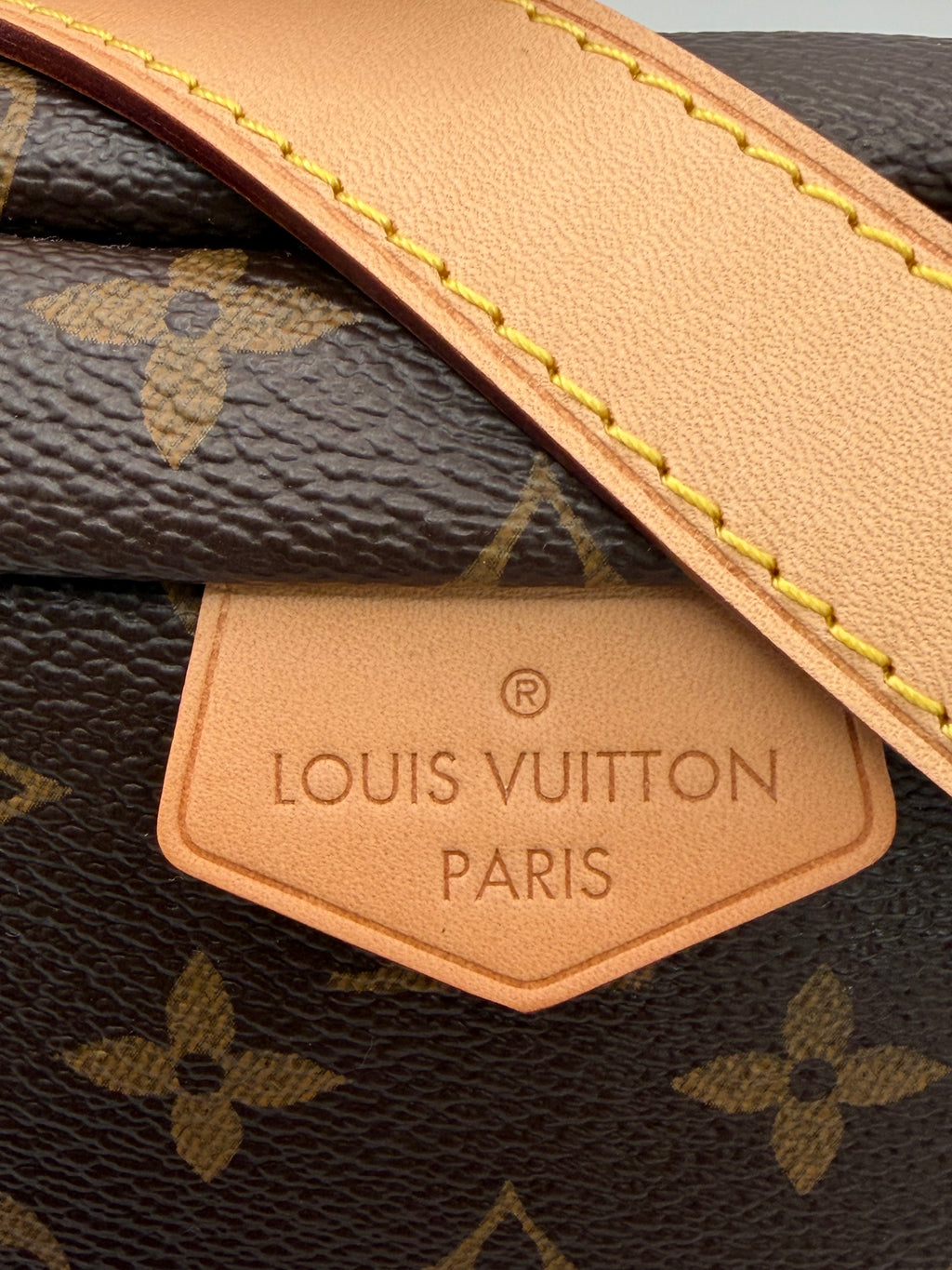 Louis Vuitton Bumbag
