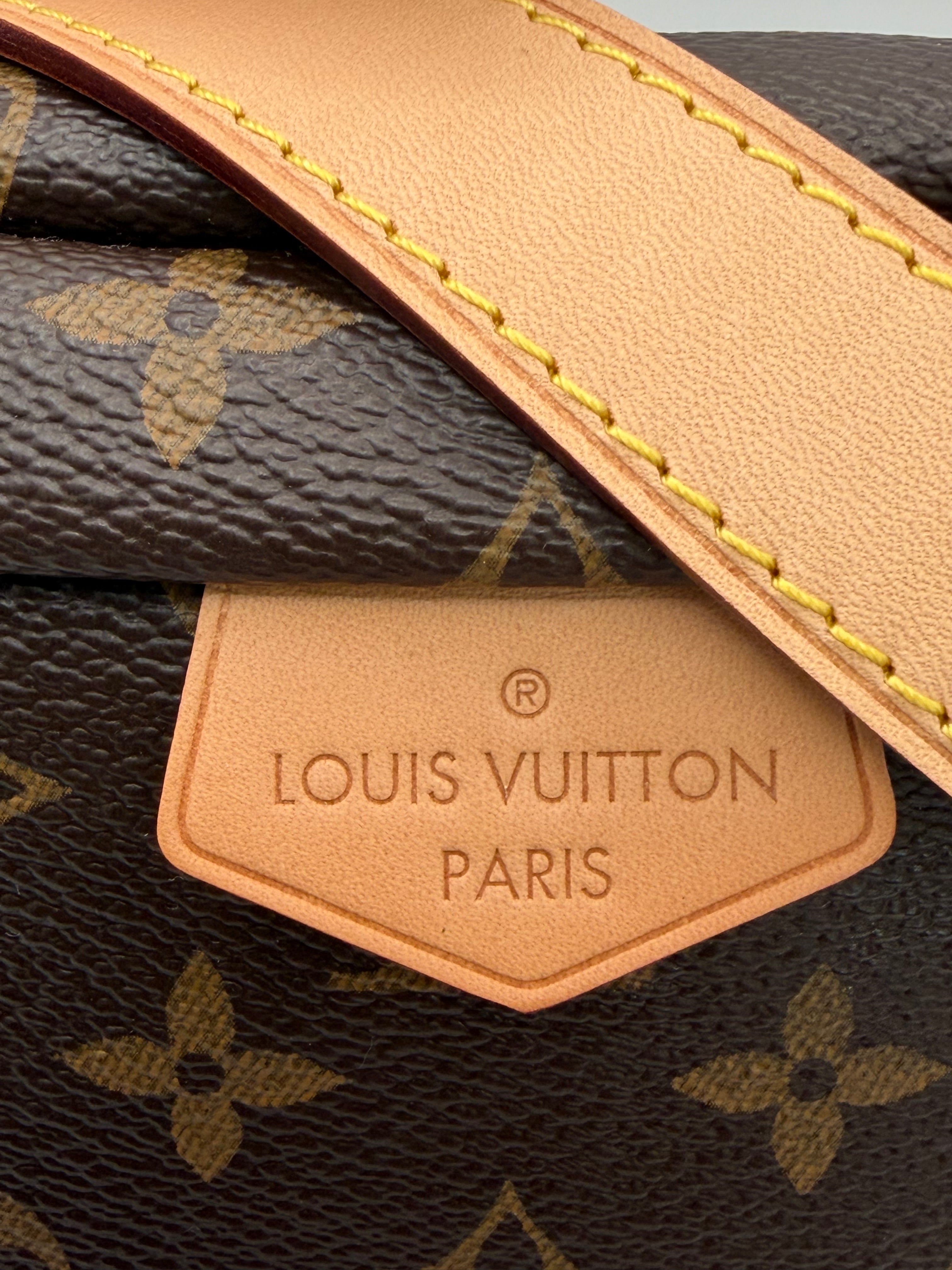 Louis Vuitton Bumbag