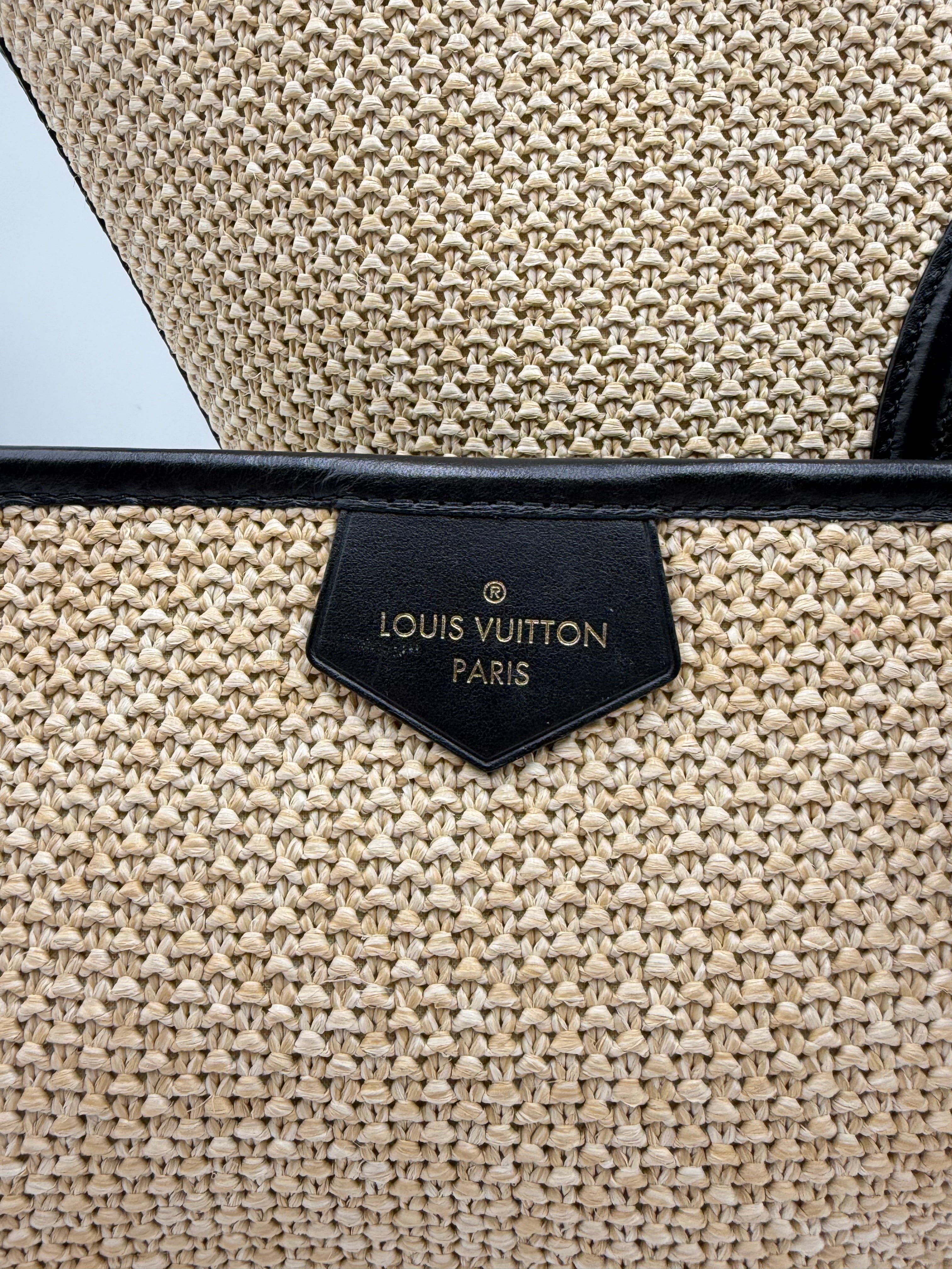Louis Vuitton Saint Jacques Tote