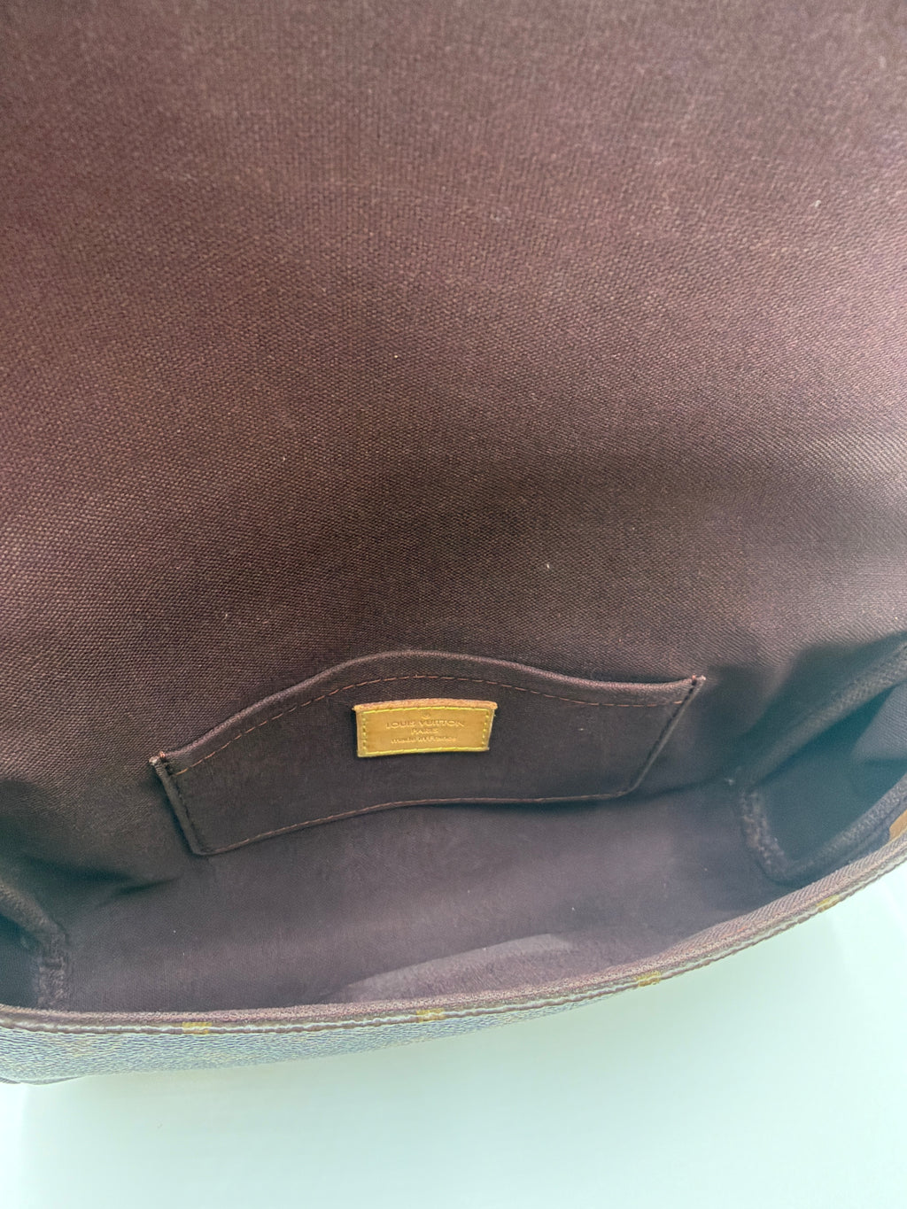 Louis Vuitton Favorite MM Monogram
