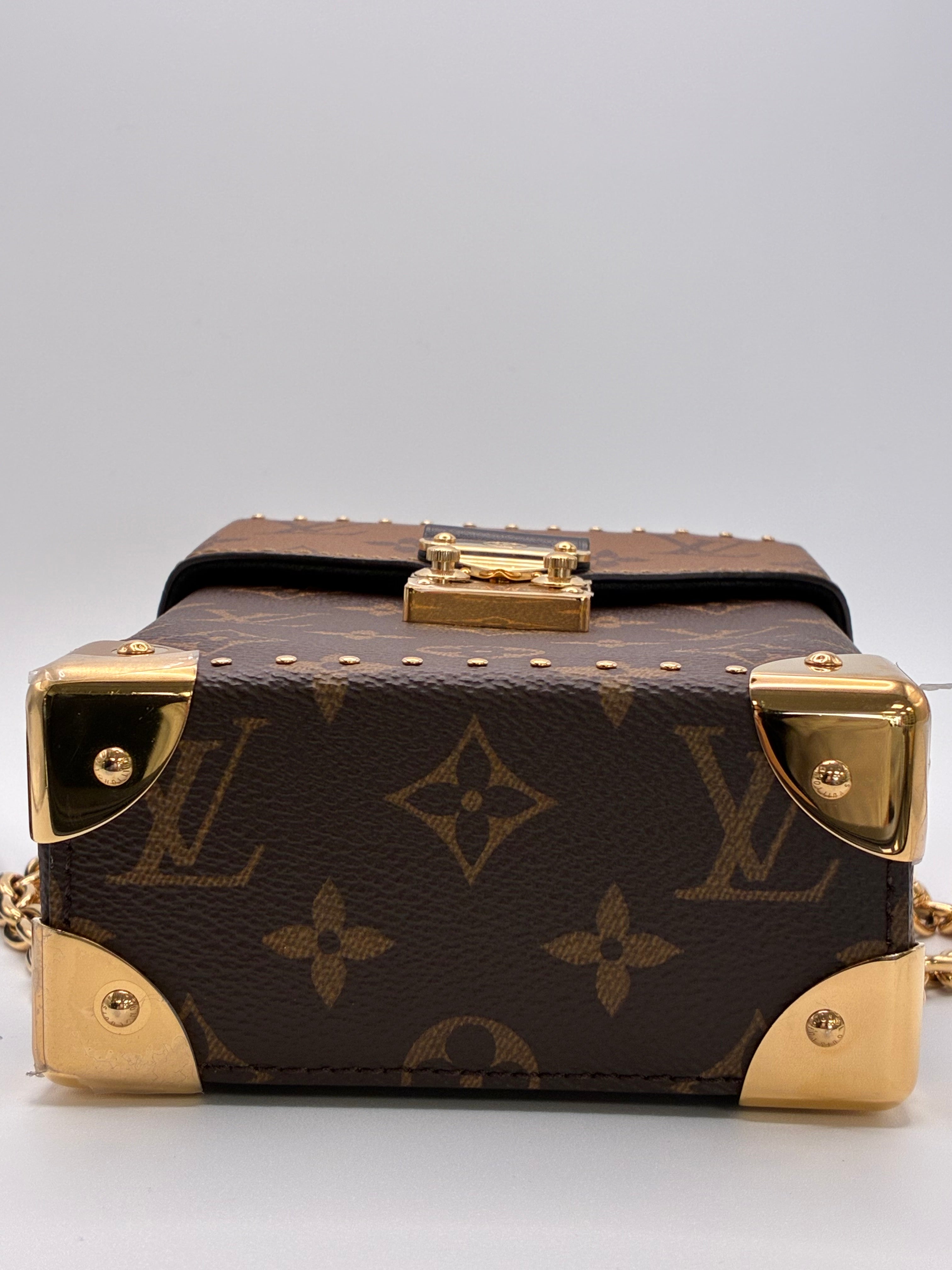 Louis Vuitton Camera Box bag