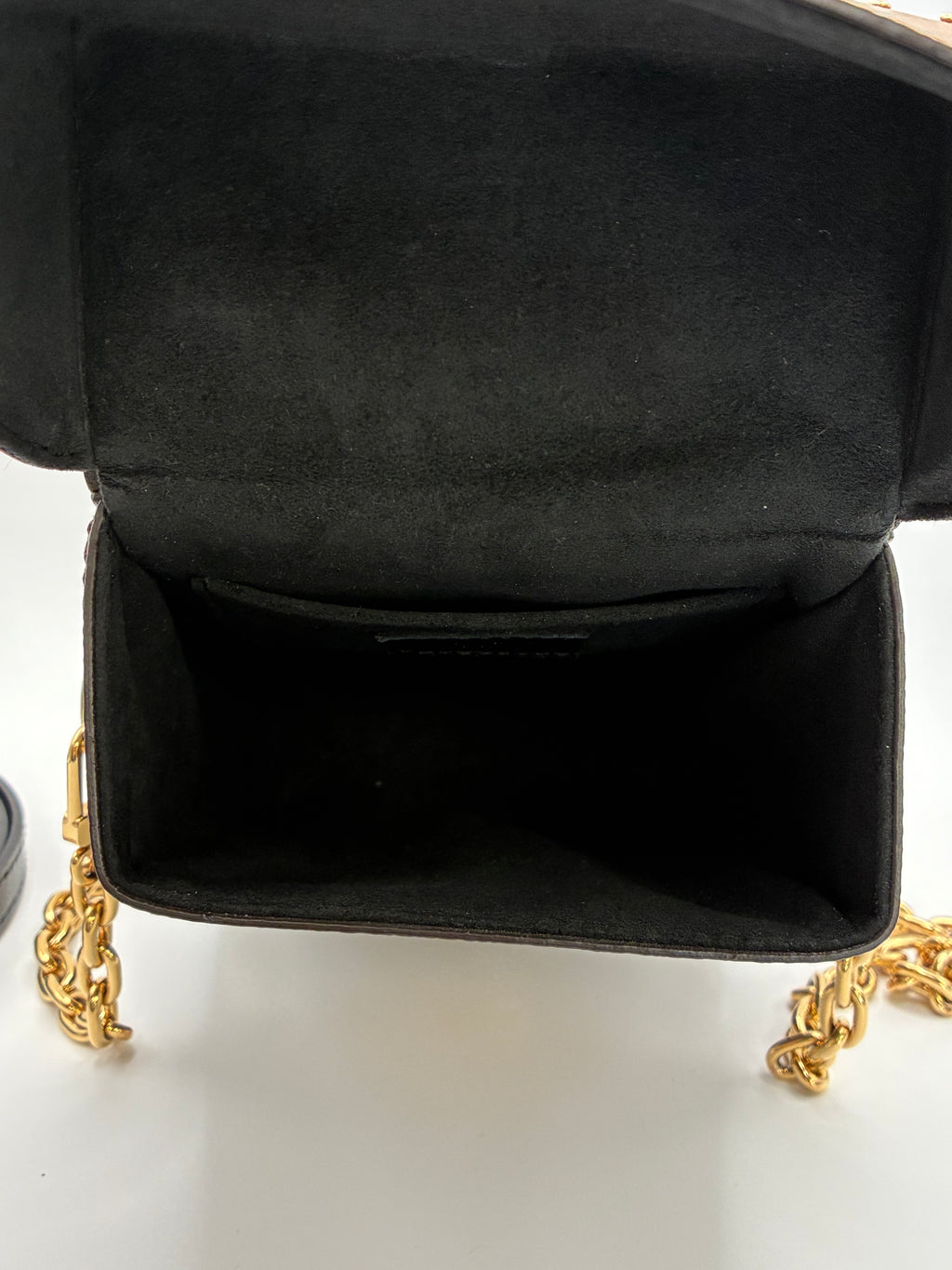 Louis Vuitton Camera Box bag