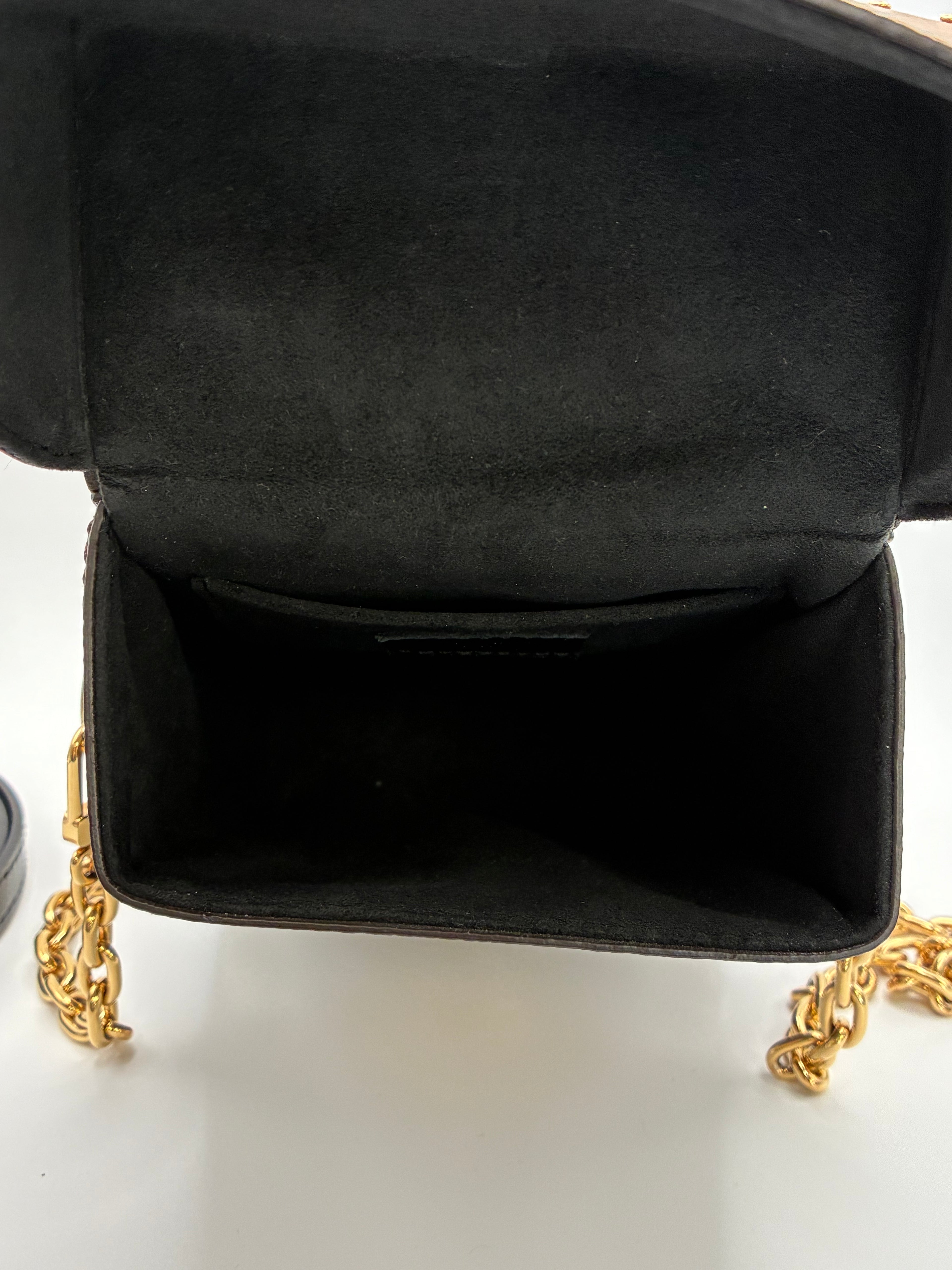 Louis Vuitton Camera Box bag