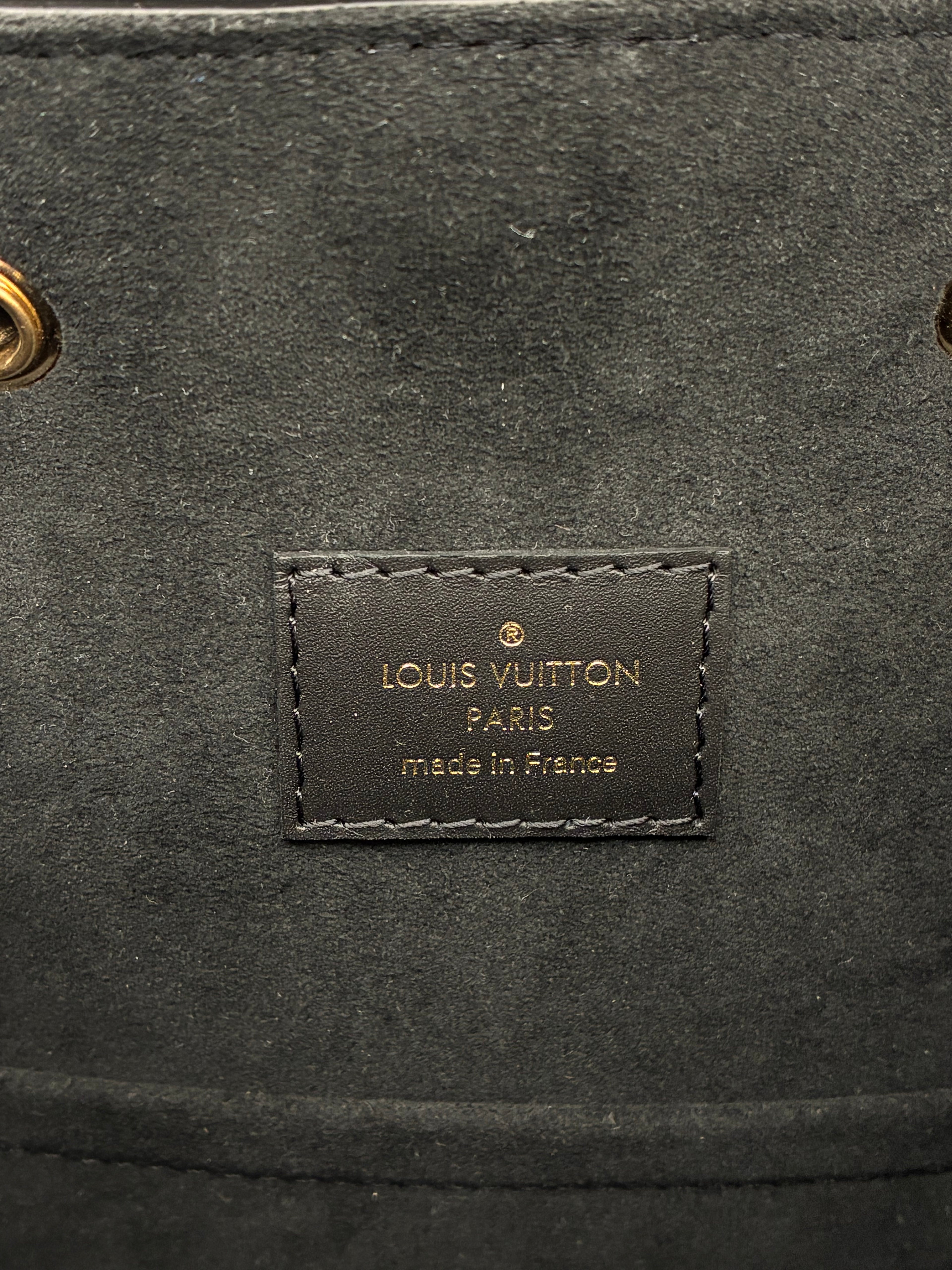 Louis Vuitton Montsouris PM Backpack