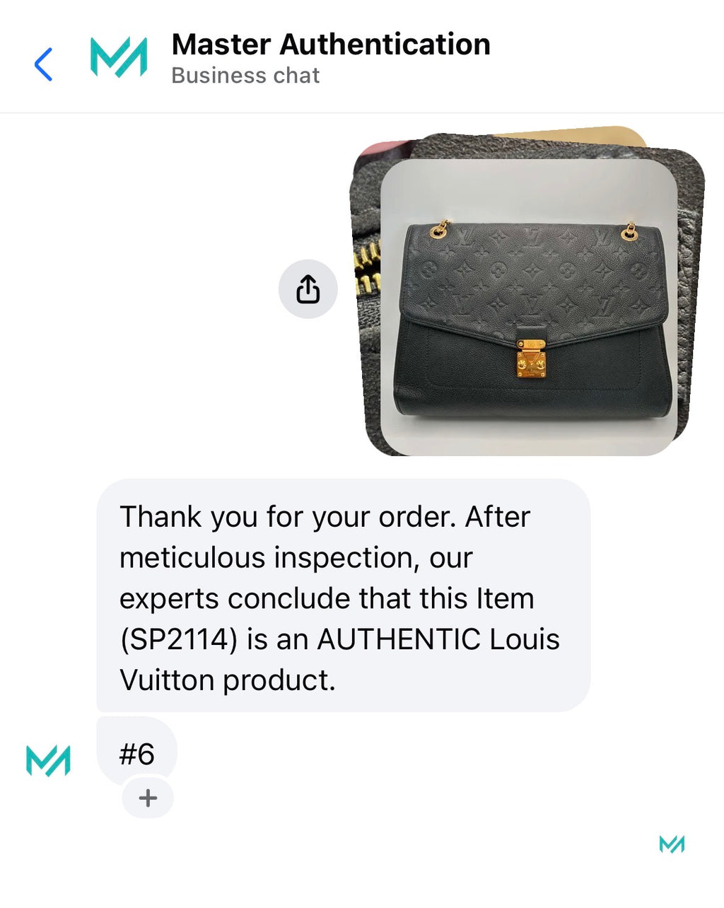 Louis Vuitton: Saint
Germain MM