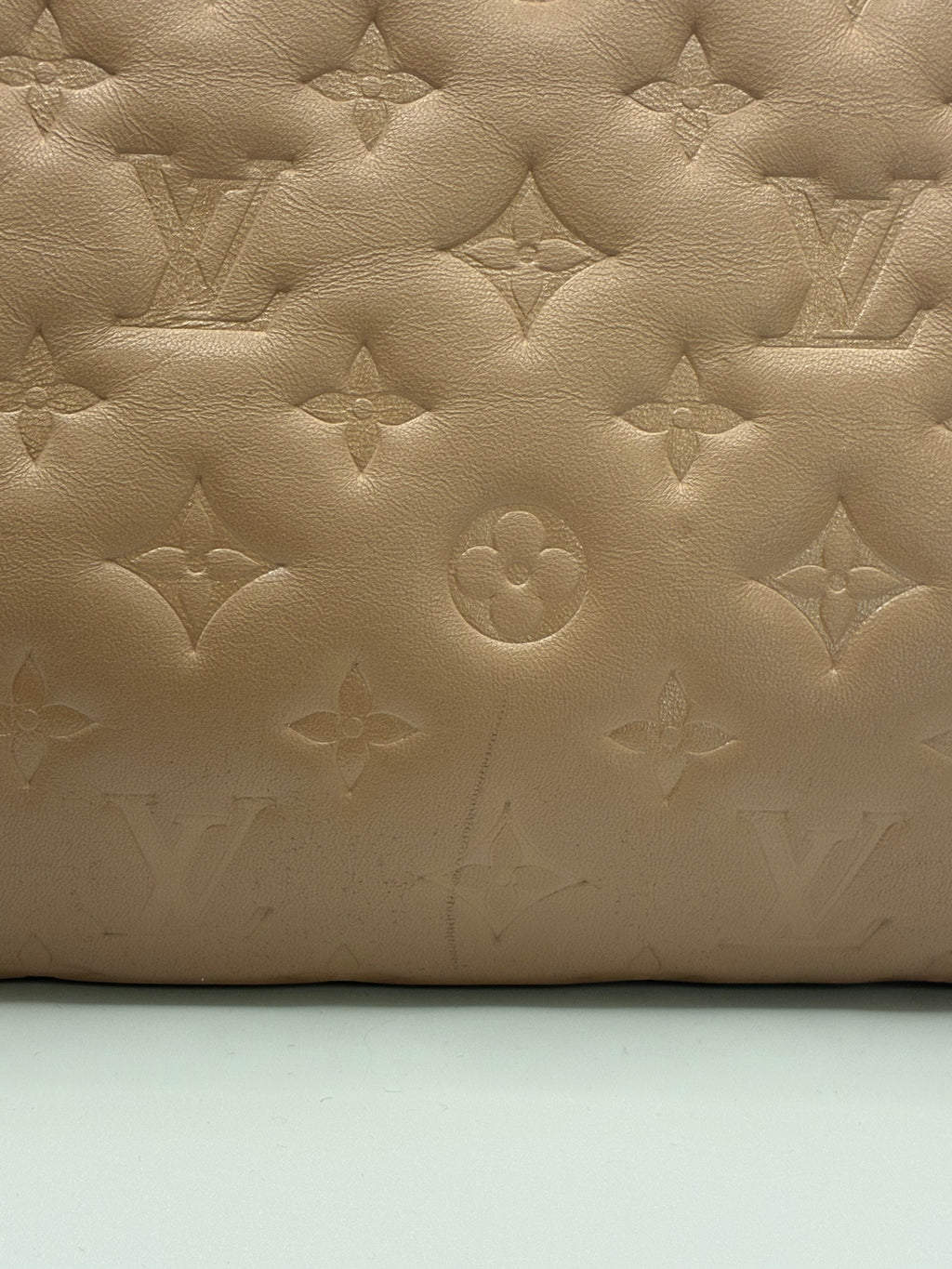 Louis Vuitton Coussin MM