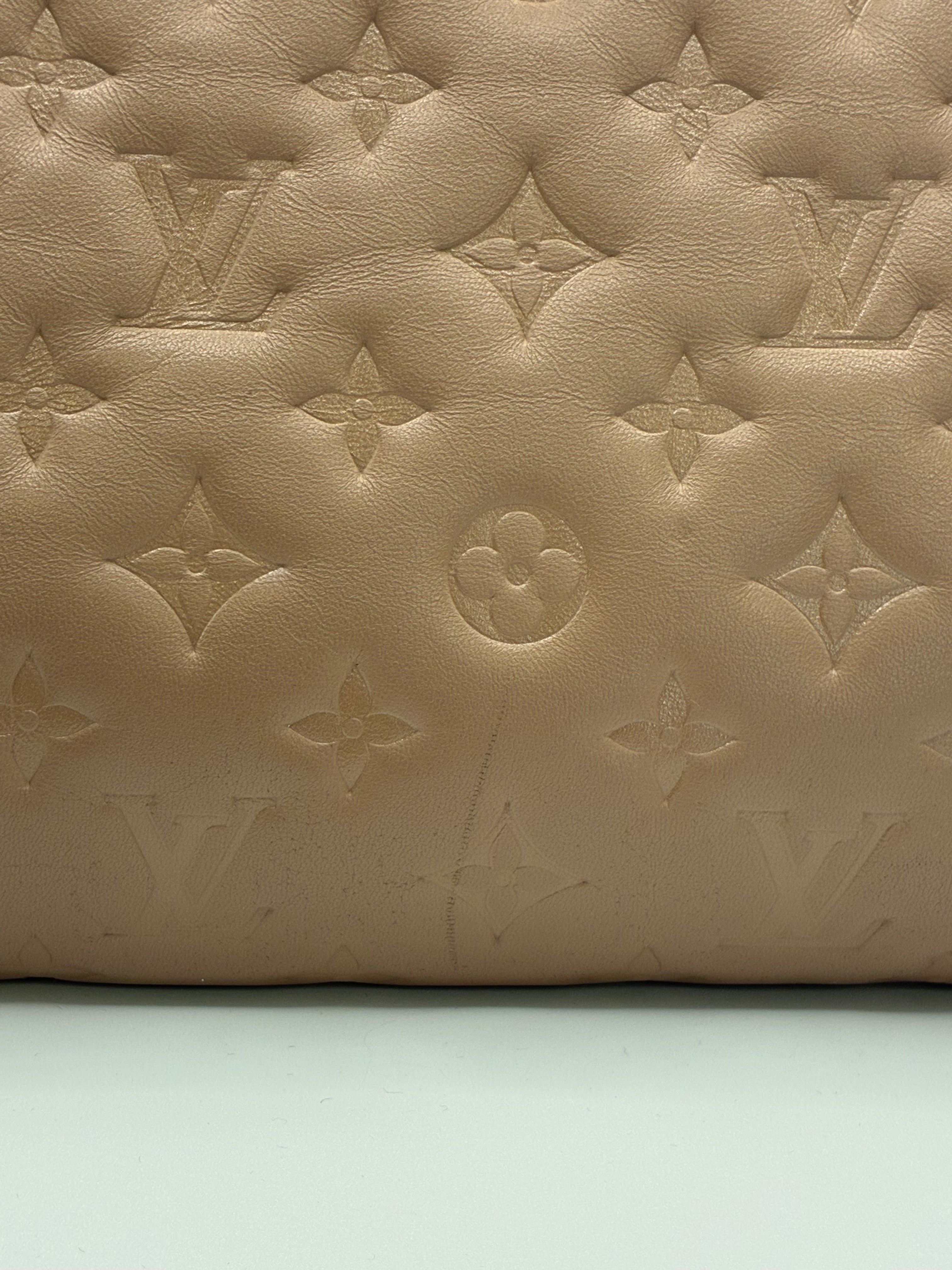 Louis Vuitton Coussin MM