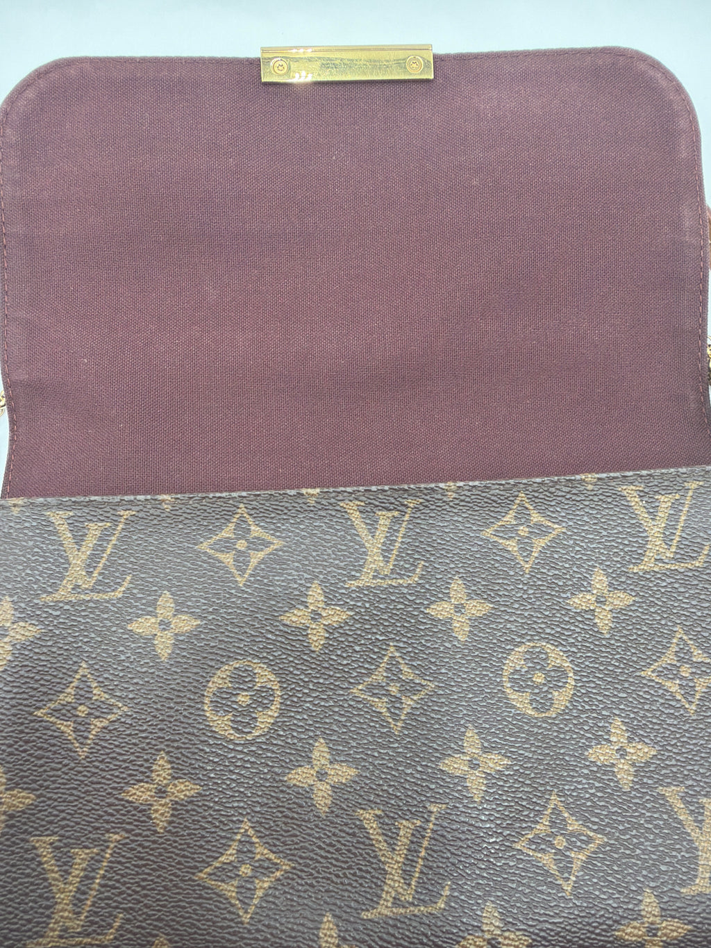 Louis Vuitton Favorite MM Monogram