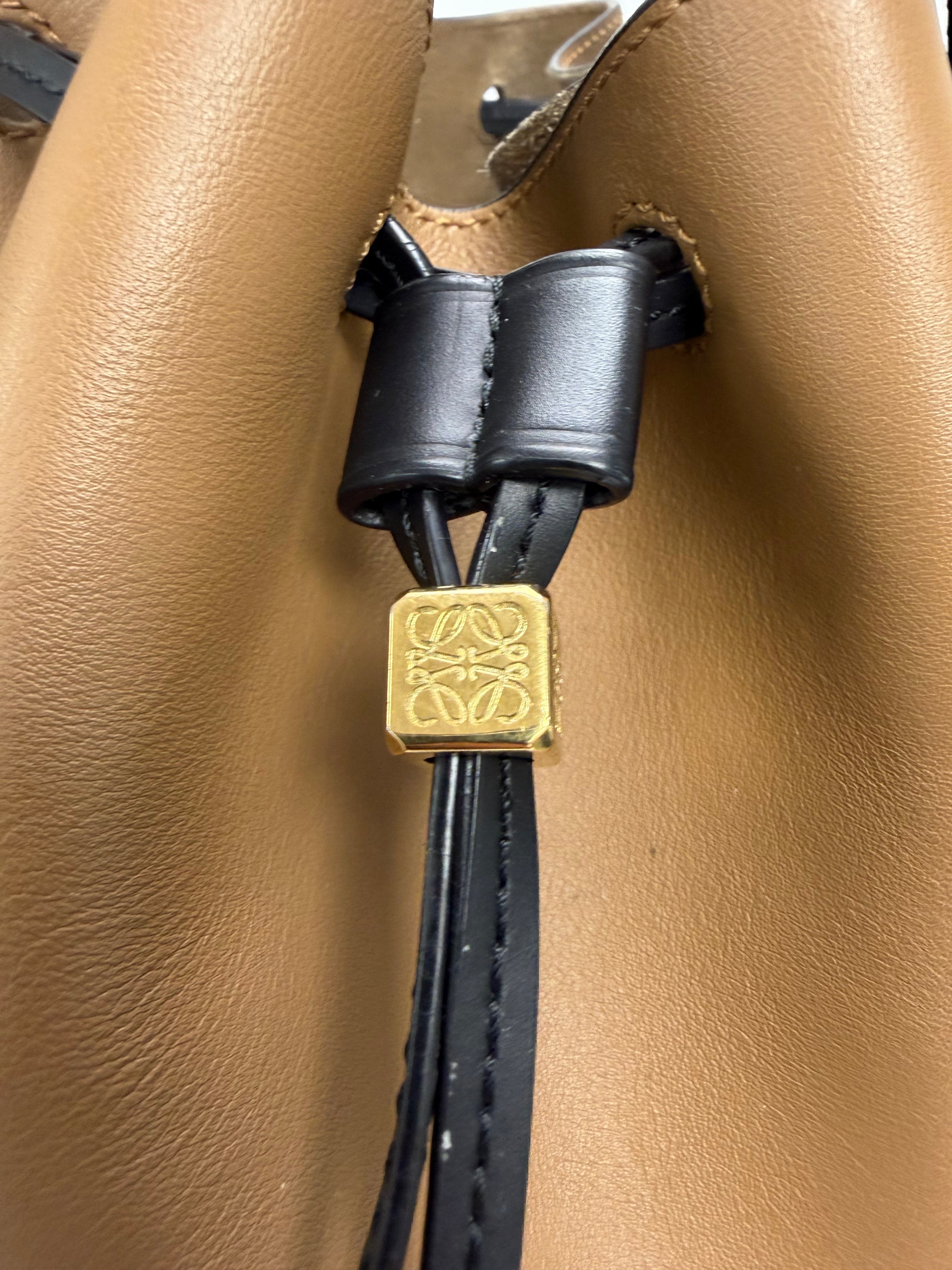 Loewe Balloon Bag