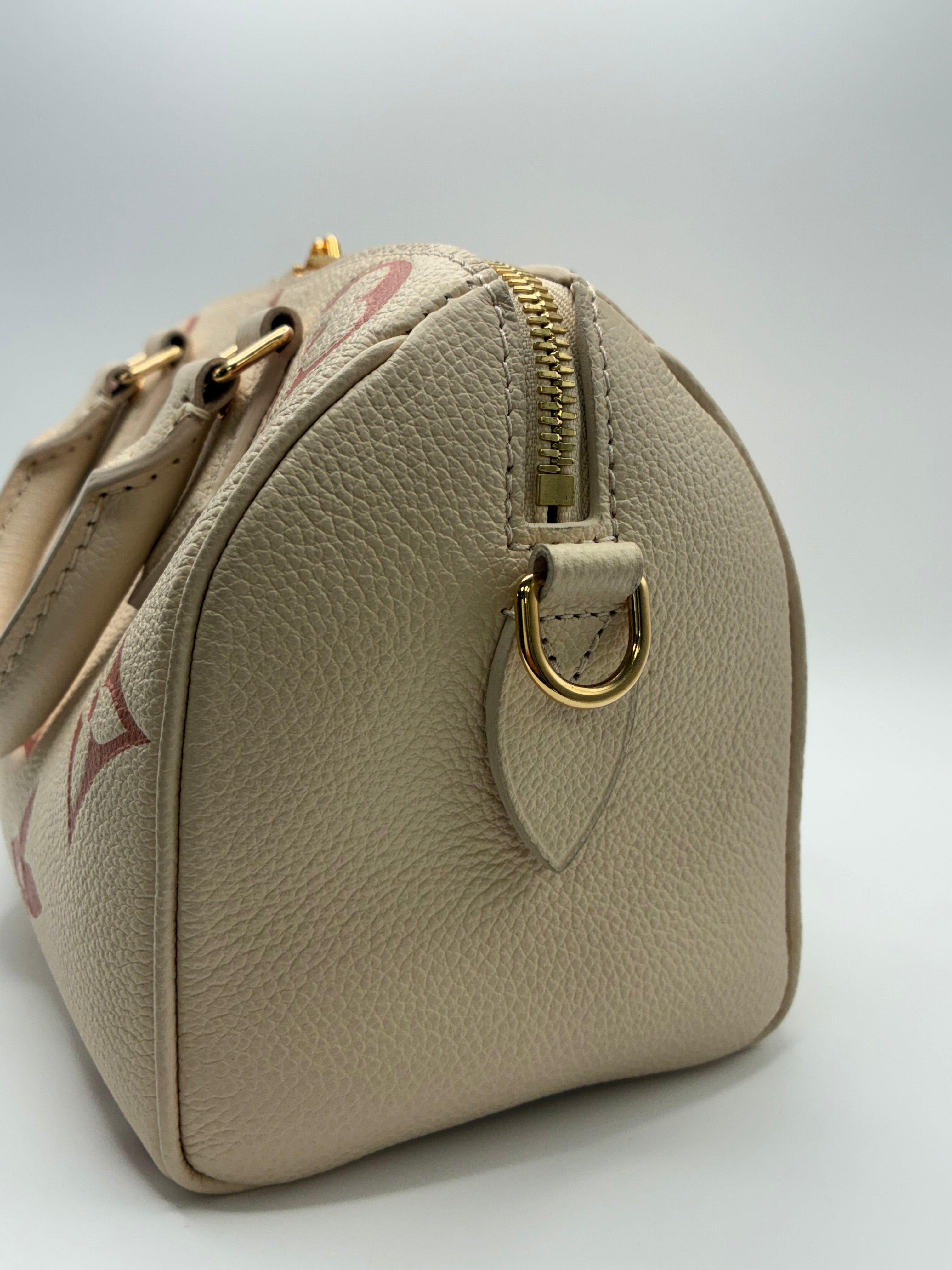 Louis Vuitton Limited Edition Speedy 20 Bandoulier Bicolour