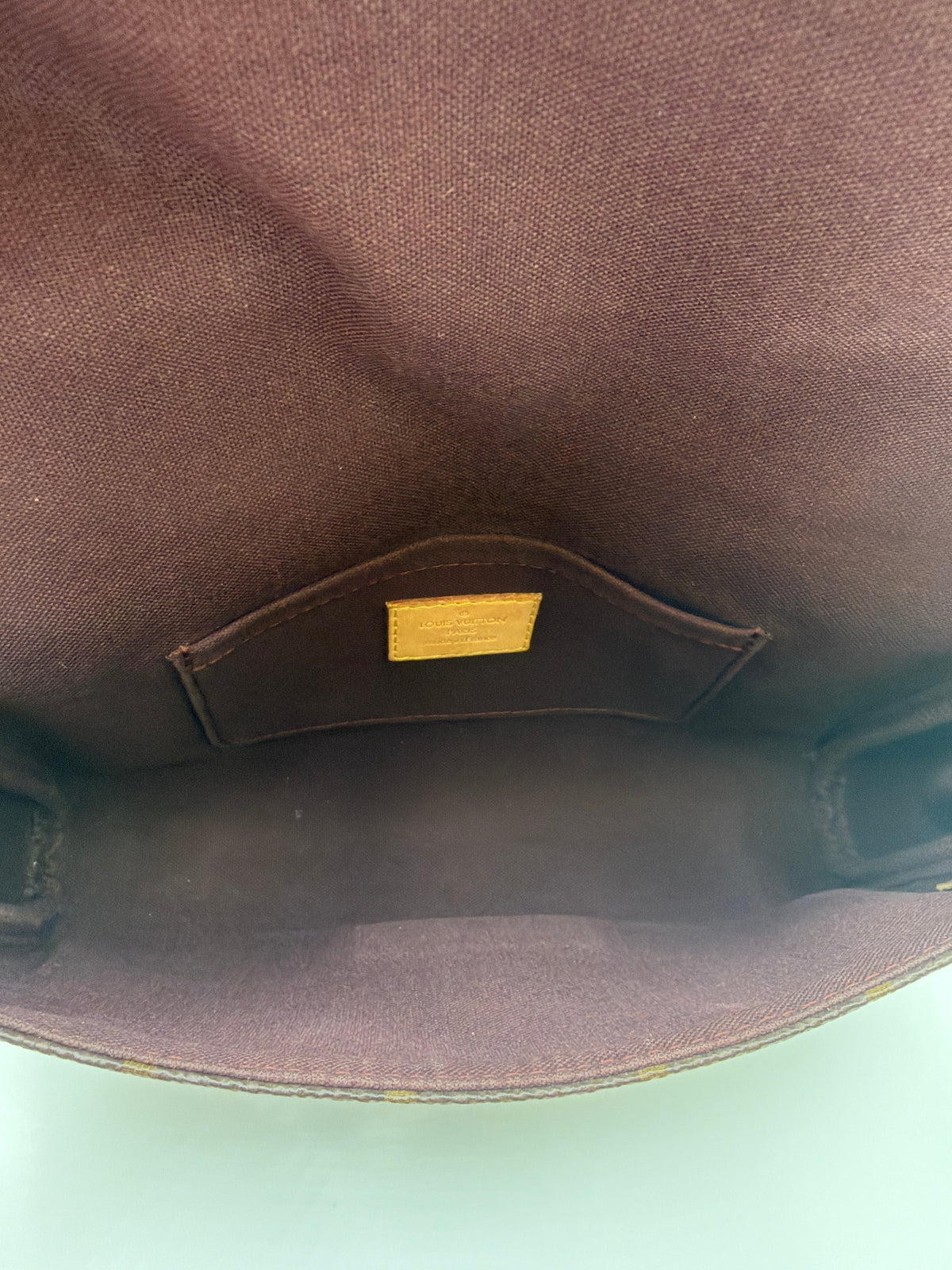 Louis Vuitton Favorite MM Monogram