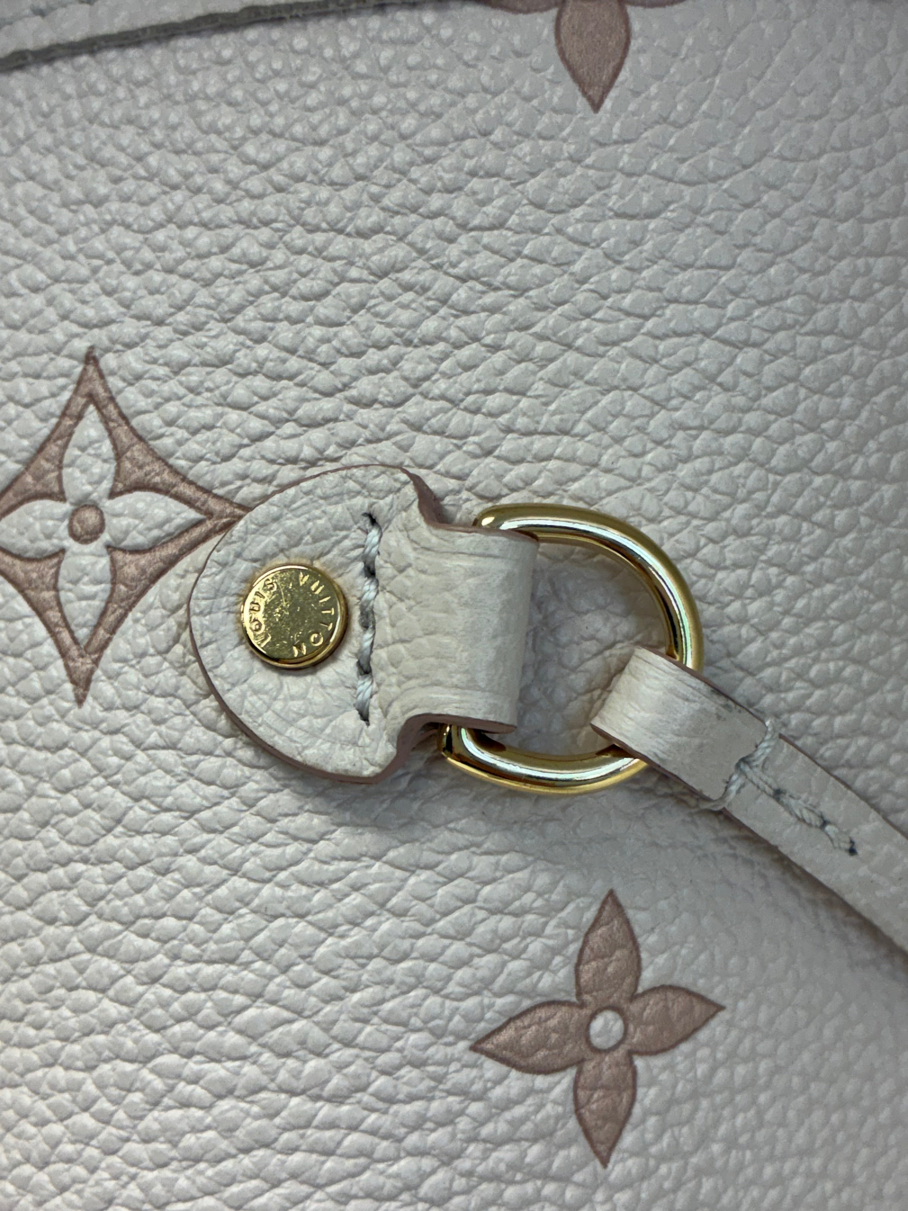 Louis Vuitton Neverfull Limited Edition - Monogram Empreinte Eden MM