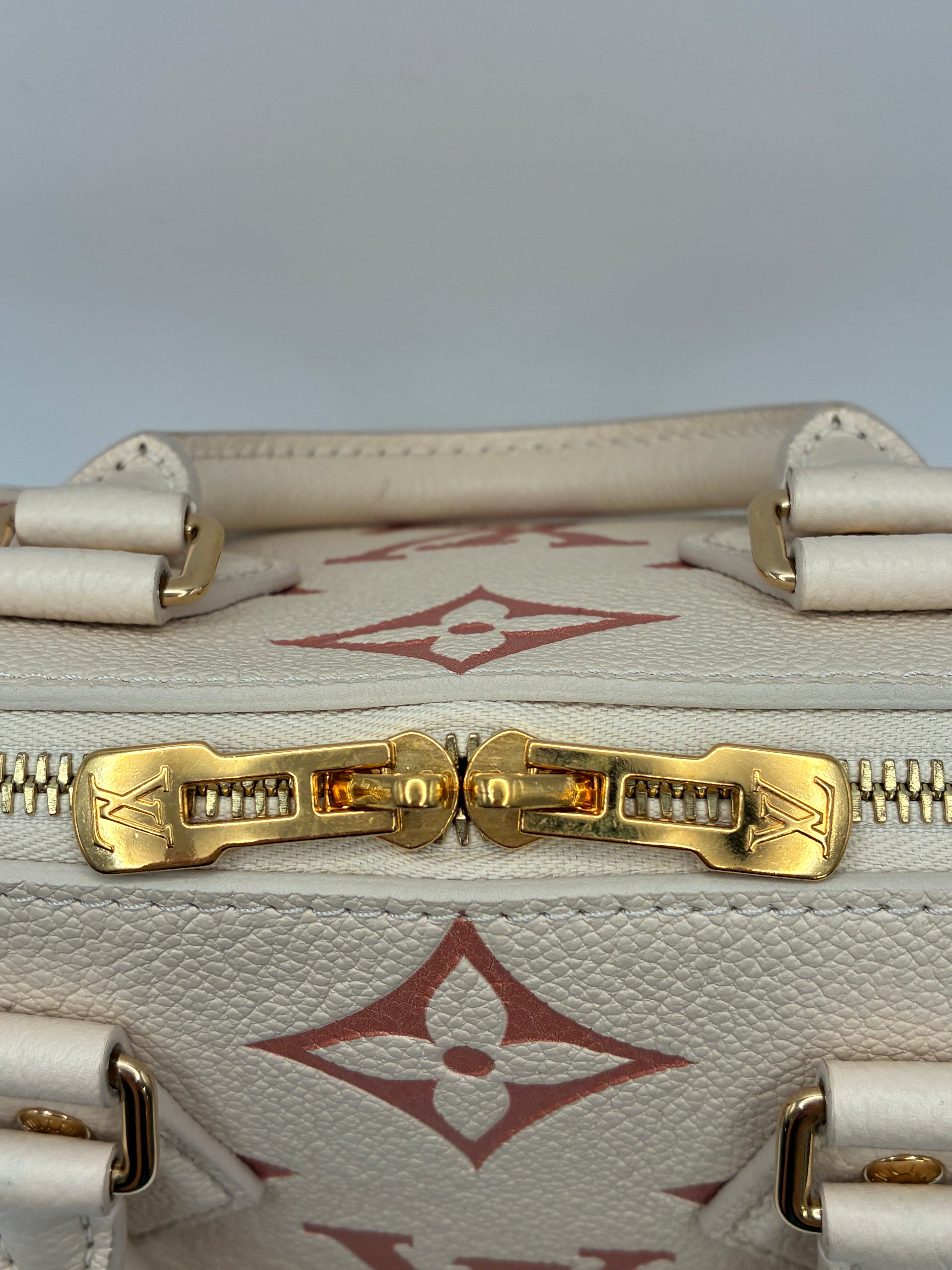 Louis Vuitton Limited Edition Speedy 20 Bandoulier Bicolour