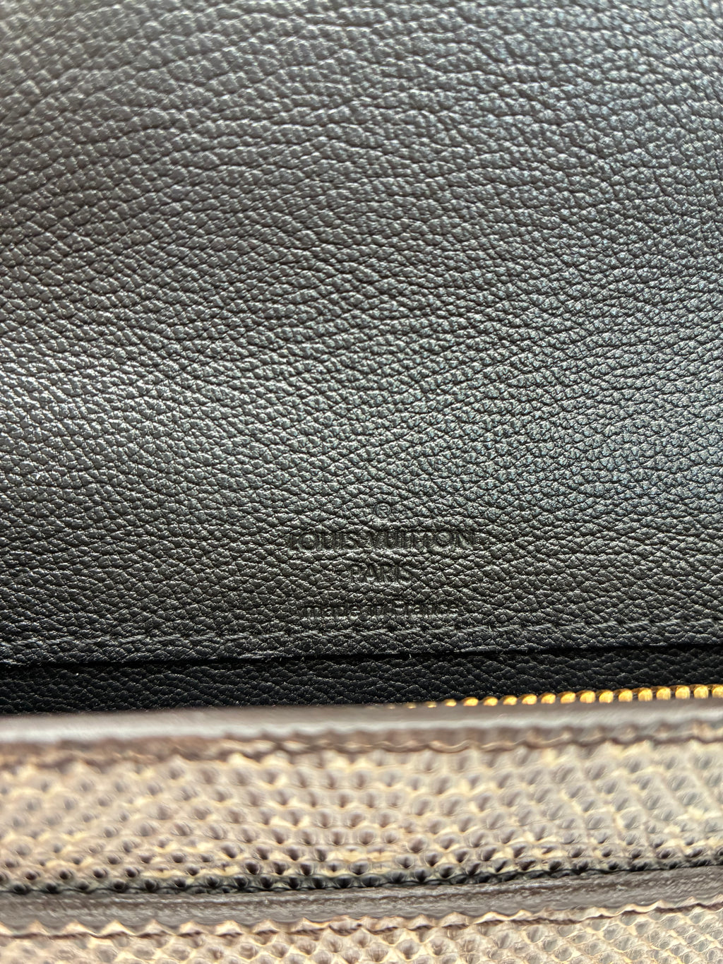 Louis Vuitton Lizard Clutch