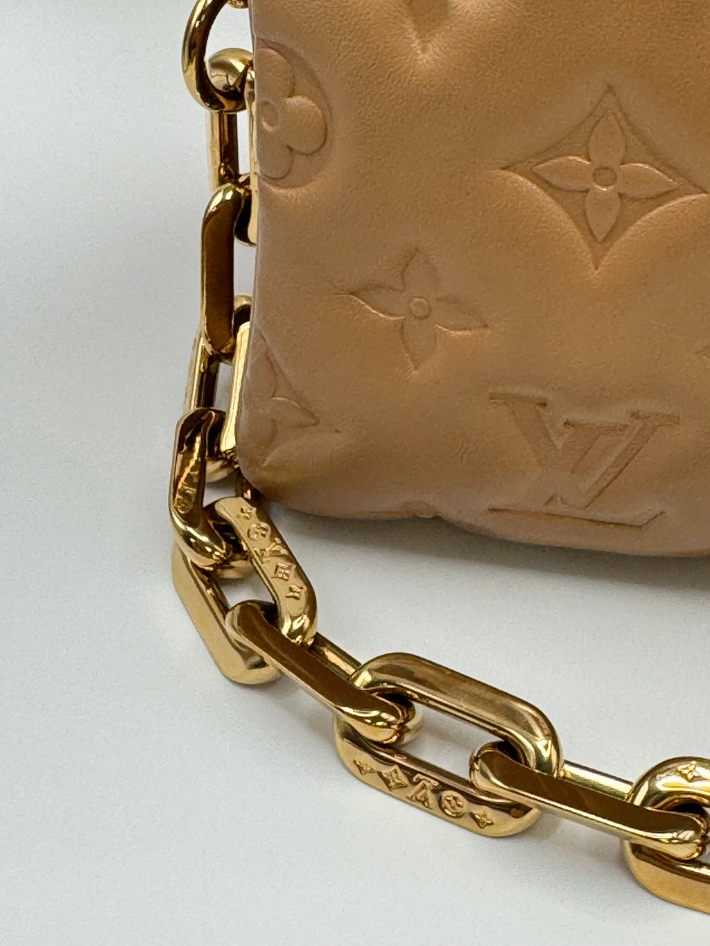 Louis Vuitton Coussin PM Camel