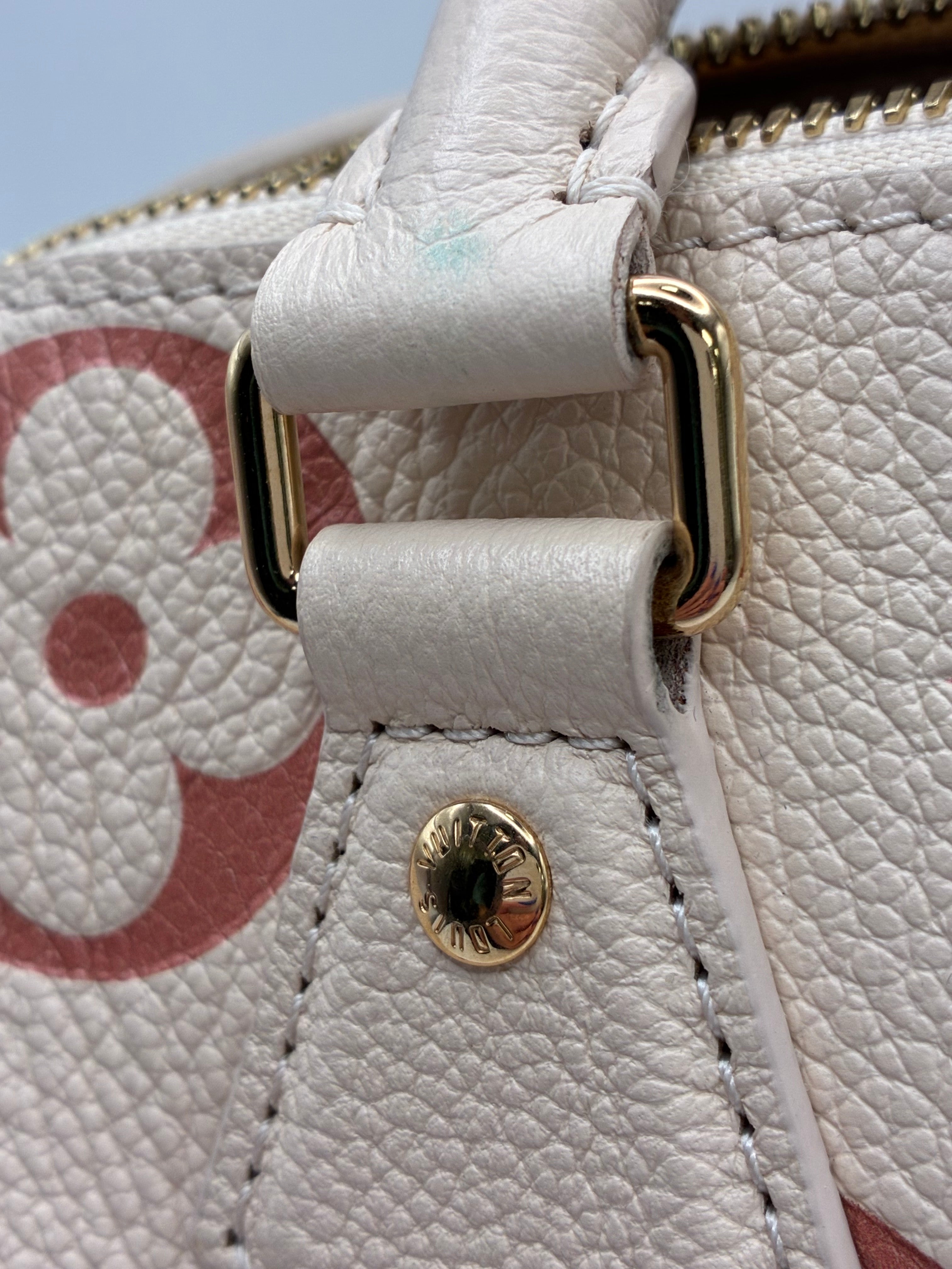 Louis Vuitton Limited Edition Speedy 20 Bandoulier Bicolour