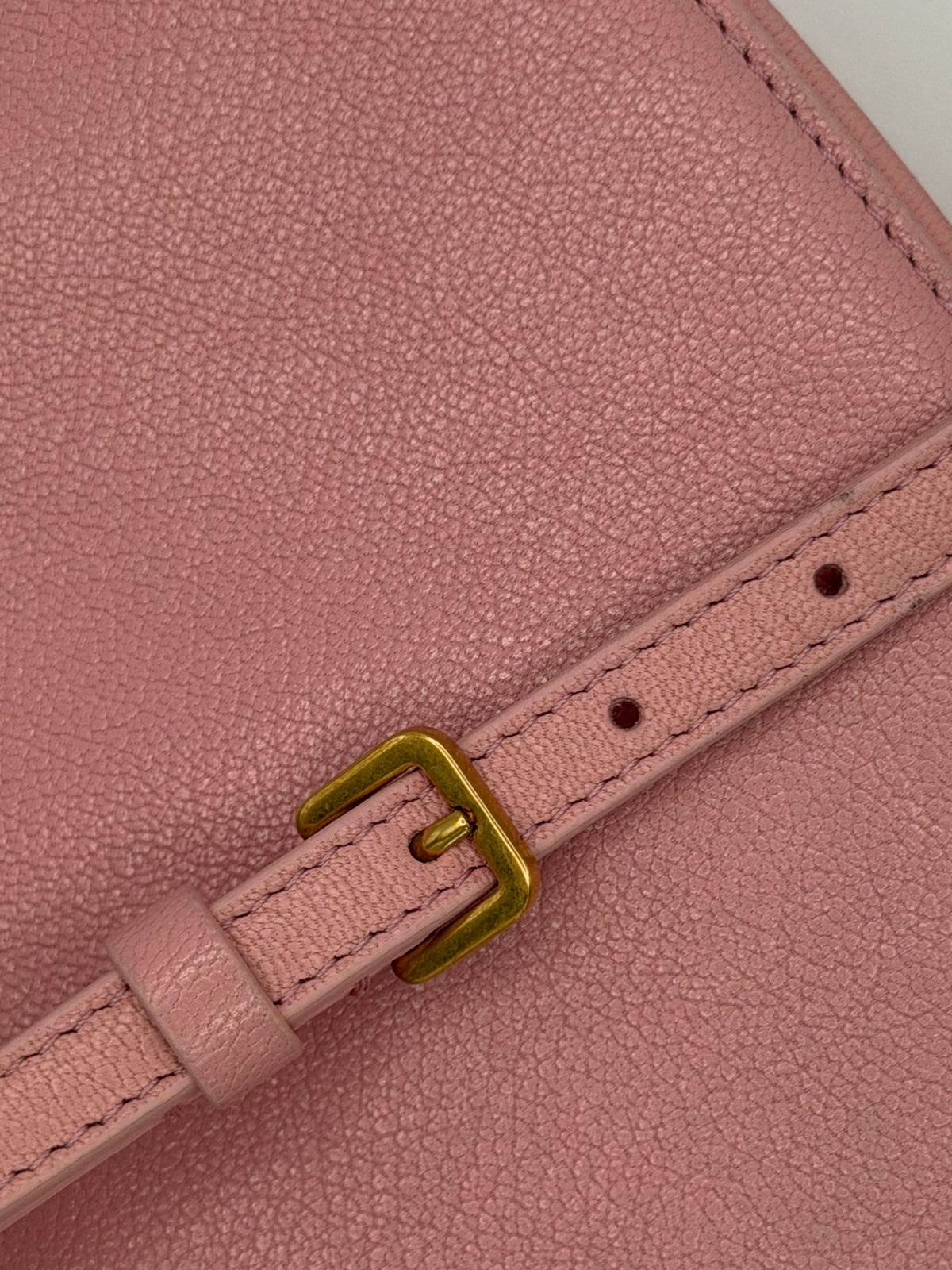 Dior Rodeo Melocoton Pink Goatskin