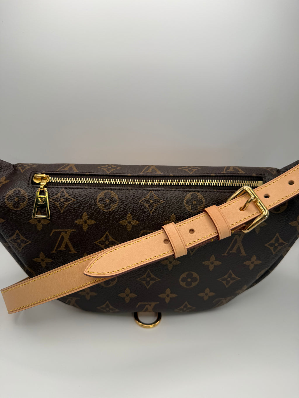 Louis Vuitton Bumbag