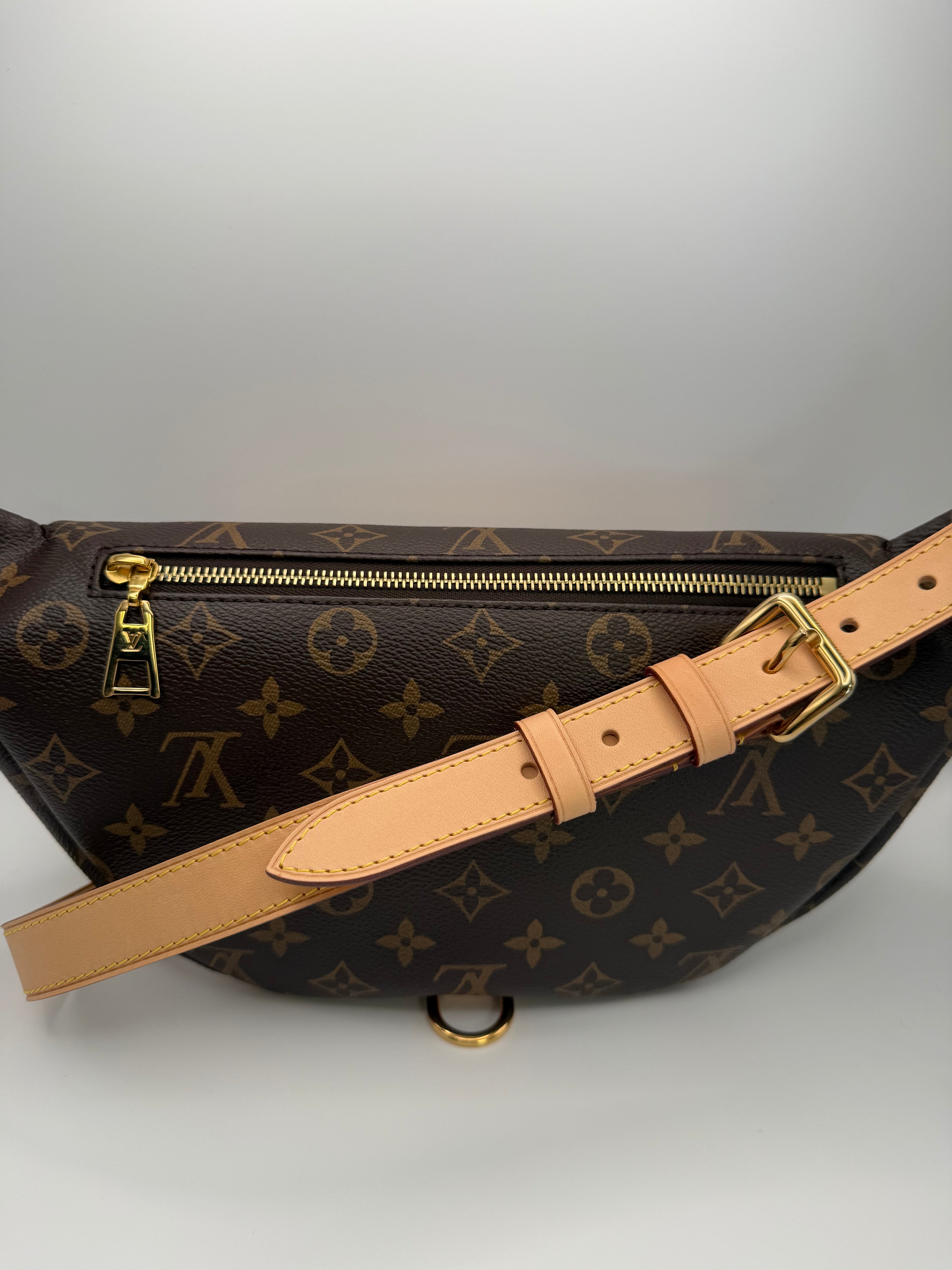 Louis Vuitton Bumbag