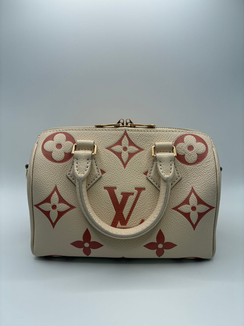 Louis Vuitton Limited Edition Speedy 20 Bandoulier Bicolour