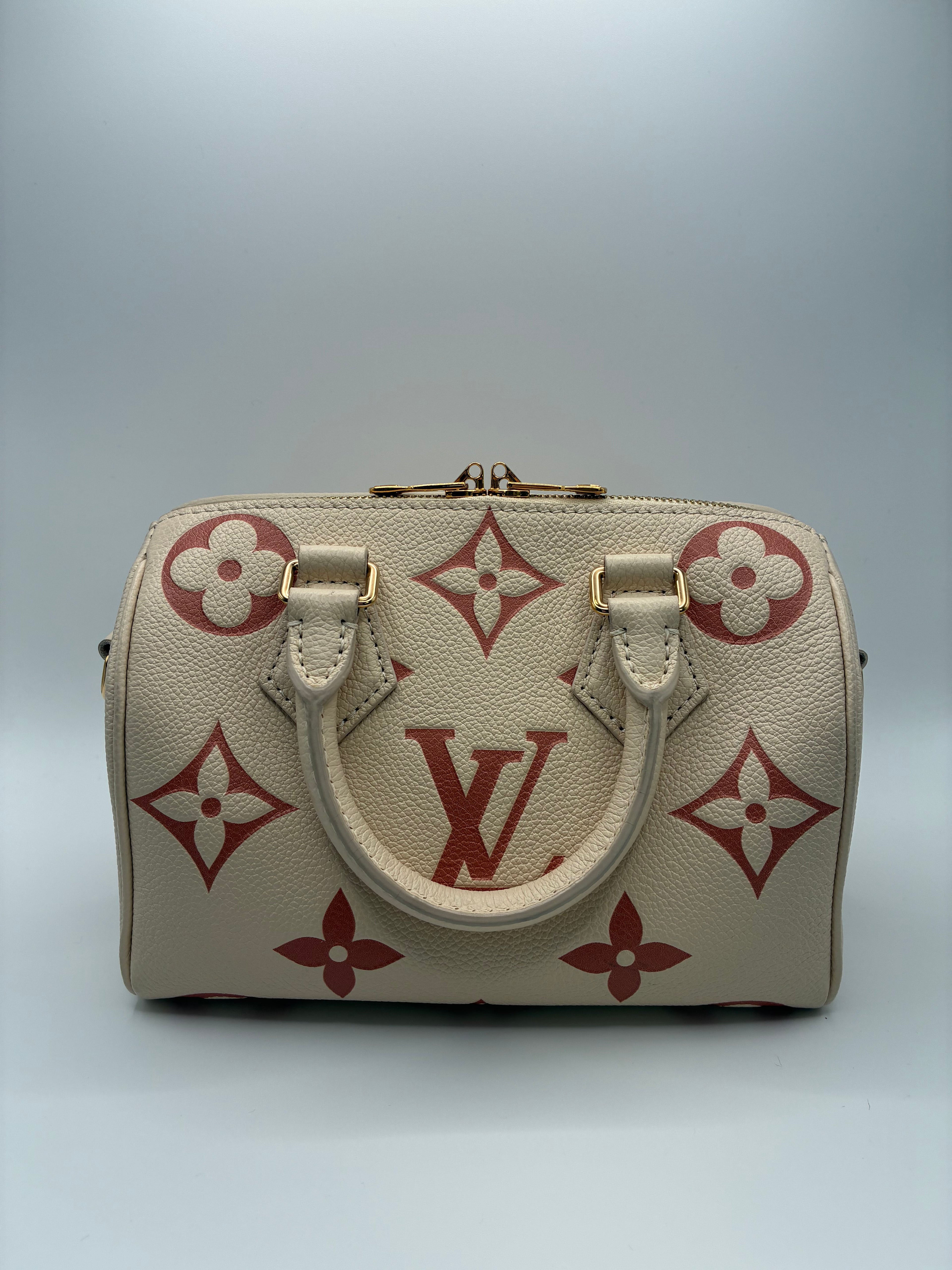 Louis Vuitton Limited Edition Speedy 20 Bandoulier Bicolour