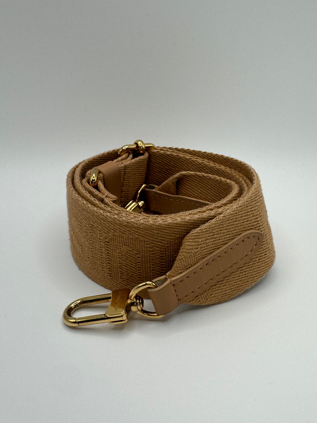 Louis Vuitton Coussin PM Camel