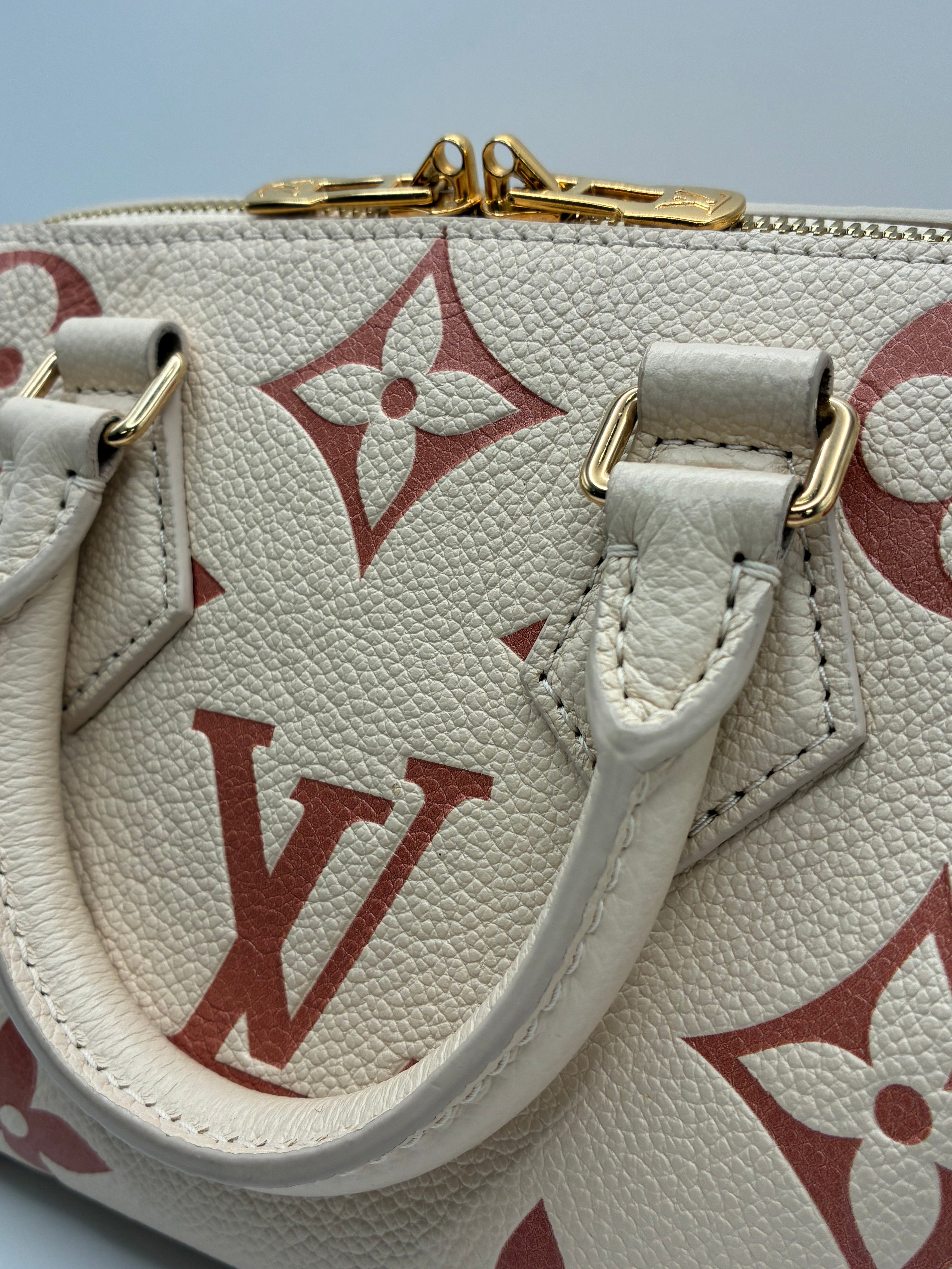 Louis Vuitton Limited Edition Speedy 20 Bandoulier Bicolour